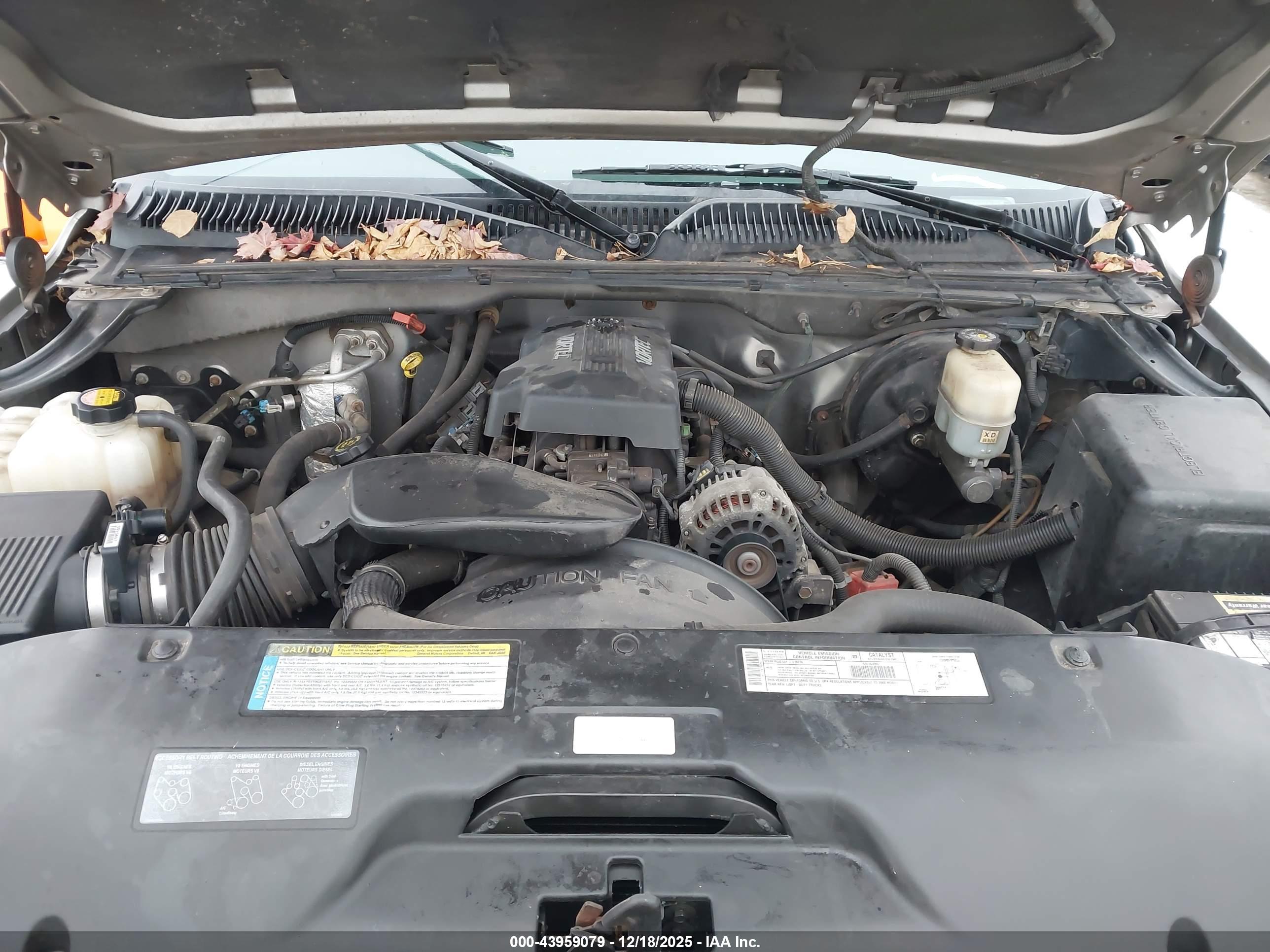 CHEVROLET SILVERADO image 10