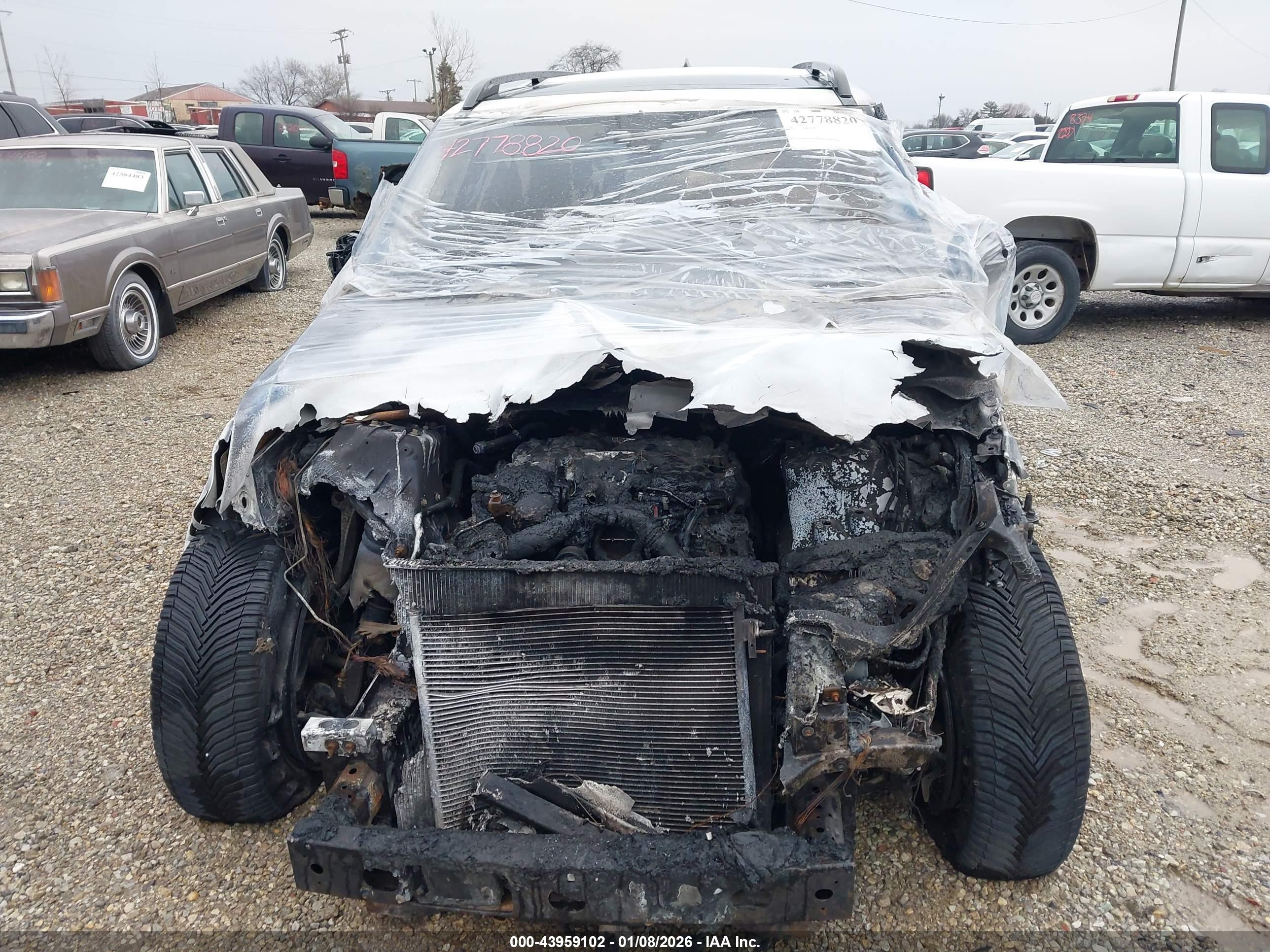 LAND ROVER image 6