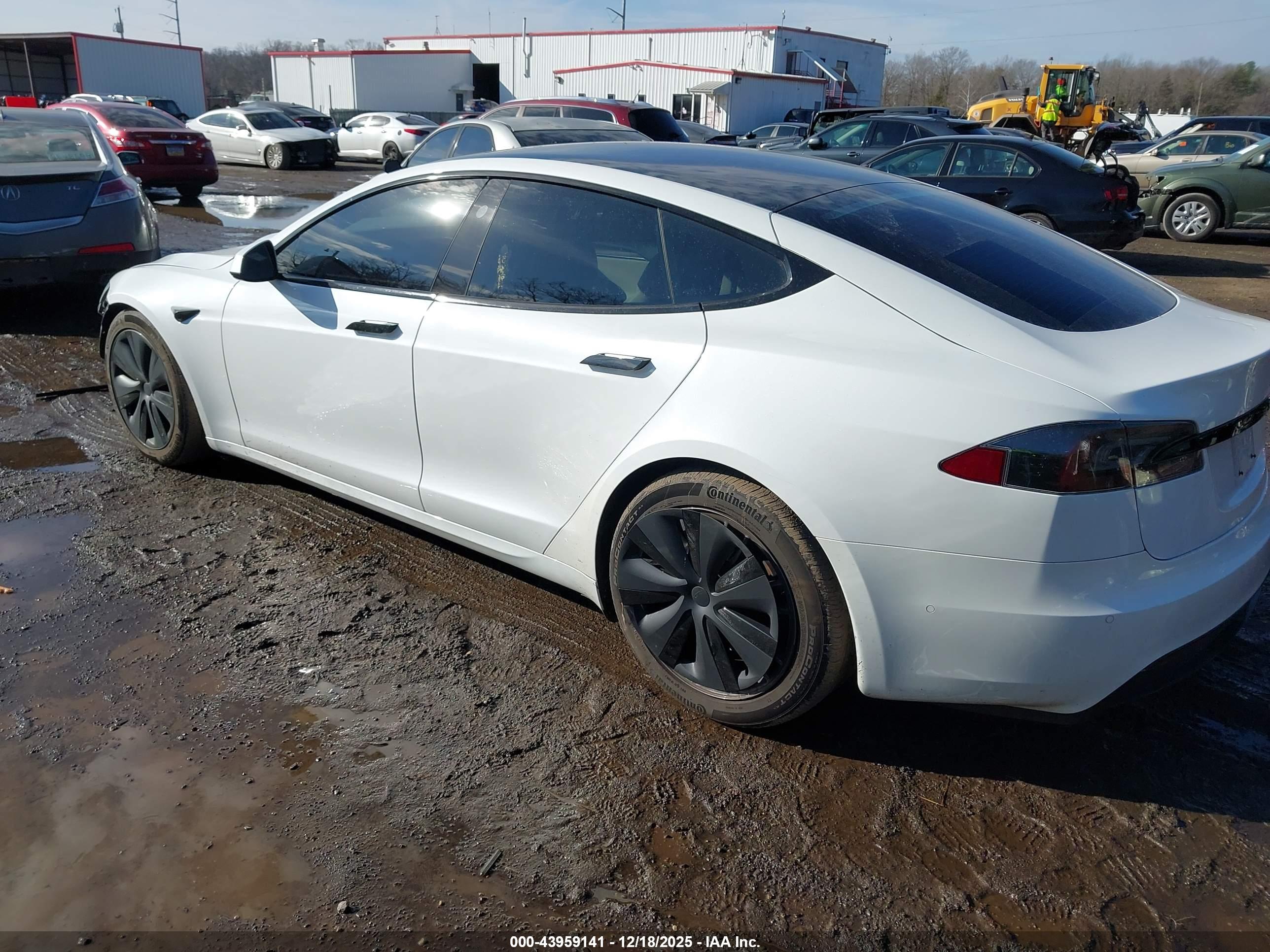 TESLA MODEL image 3