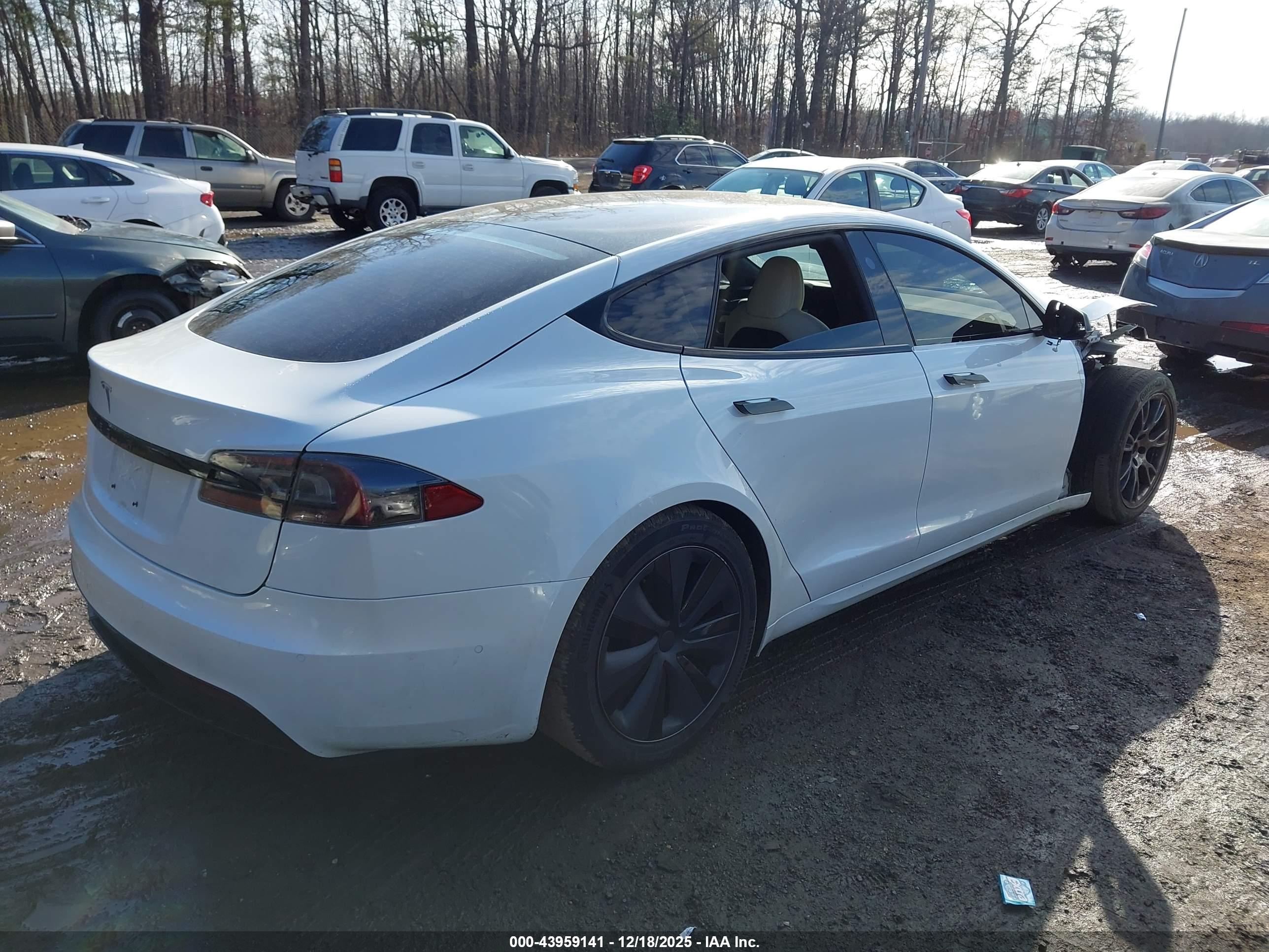 TESLA MODEL image 4