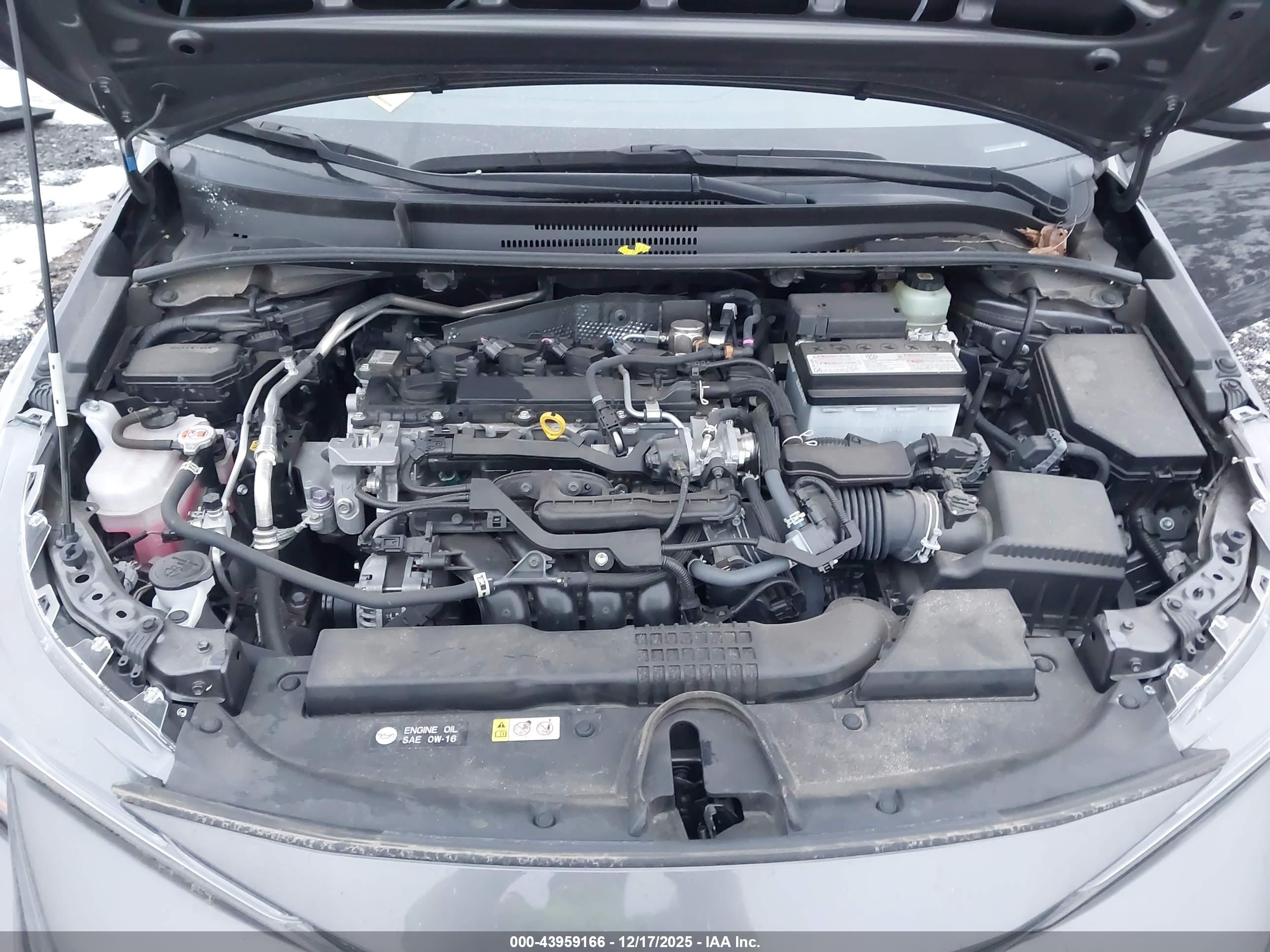 TOYOTA COROLLA image 10