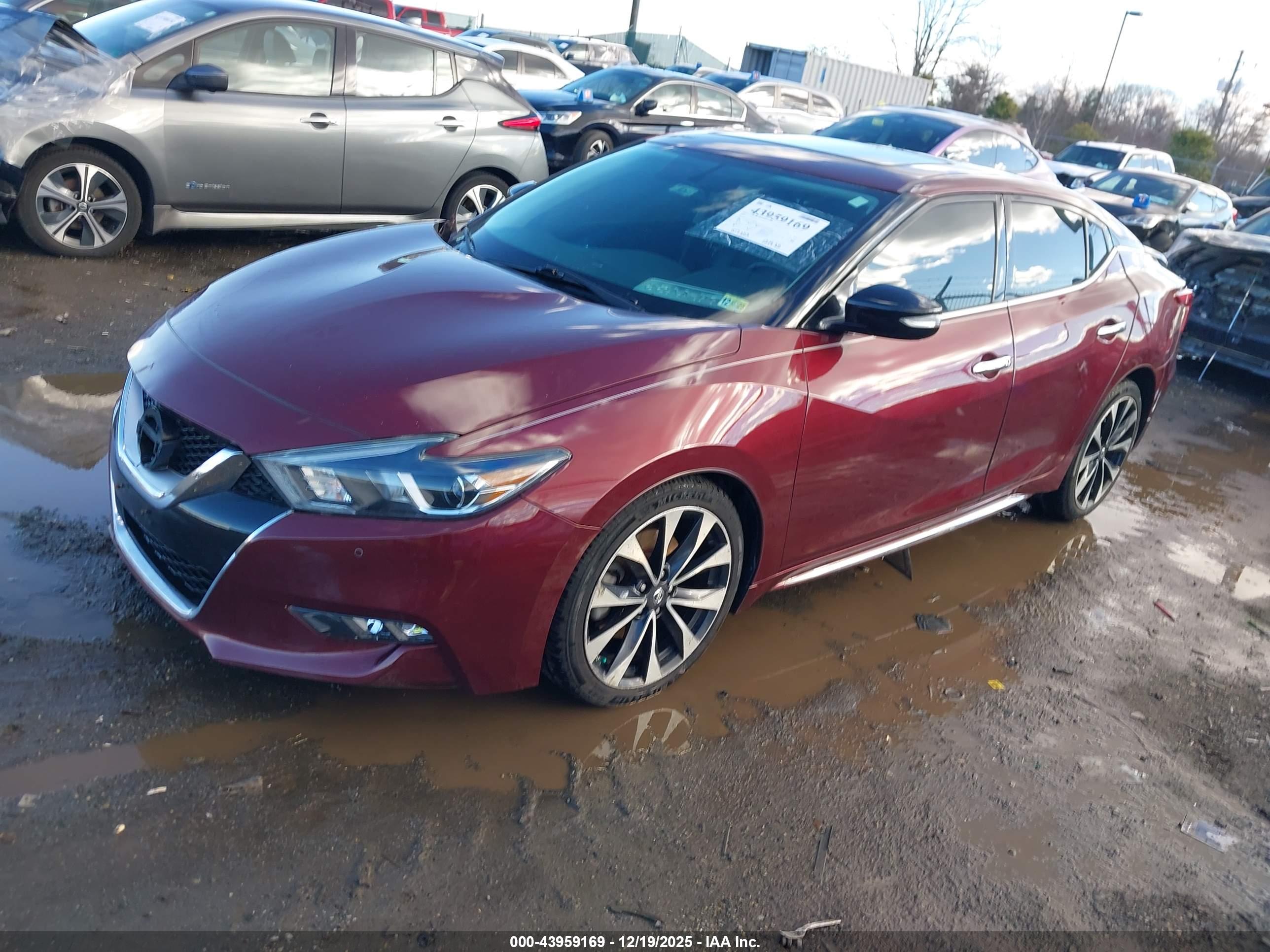 NISSAN MAXIMA image 2