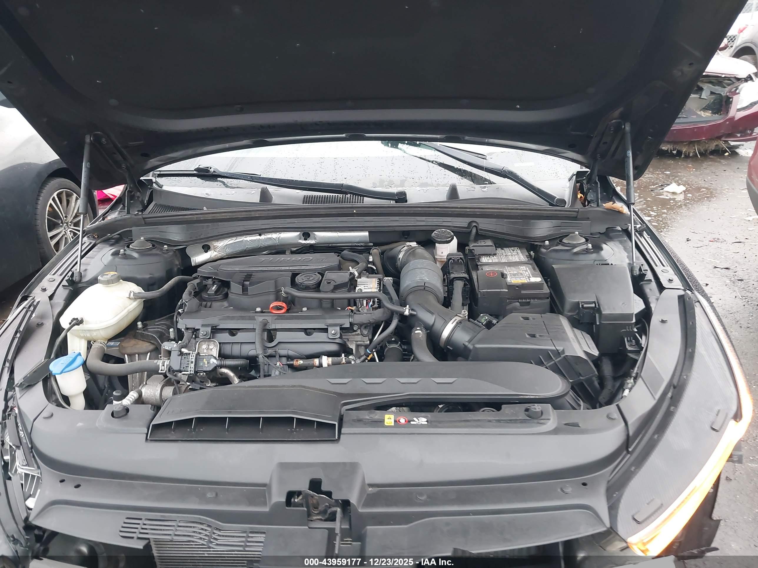 KIA K5 image 10