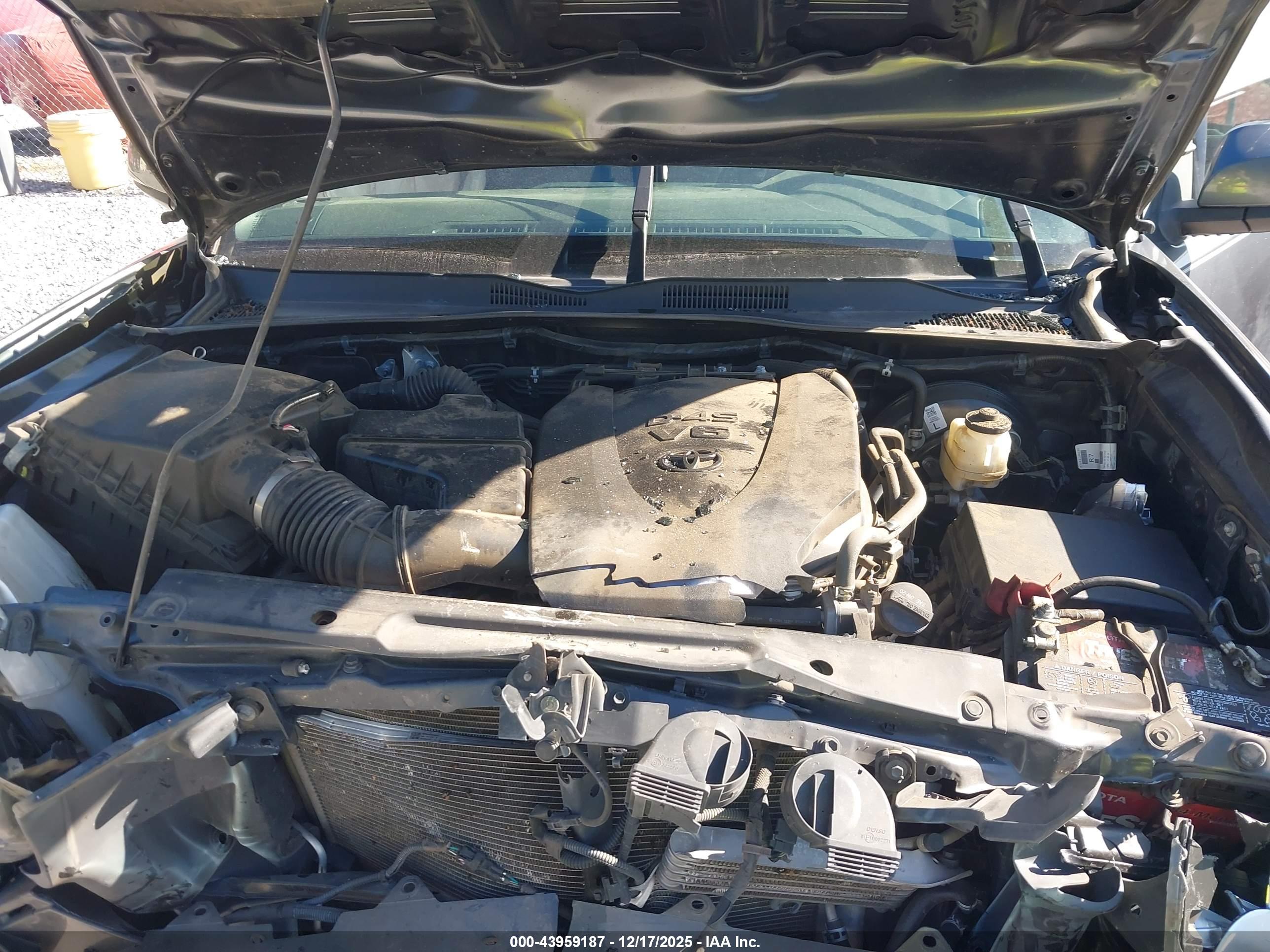 TOYOTA TACOMA image 10