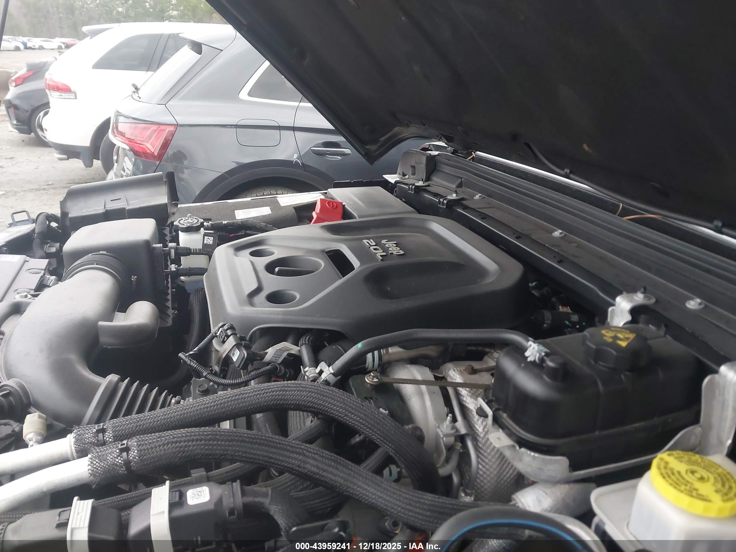 JEEP WRANGLER image 10