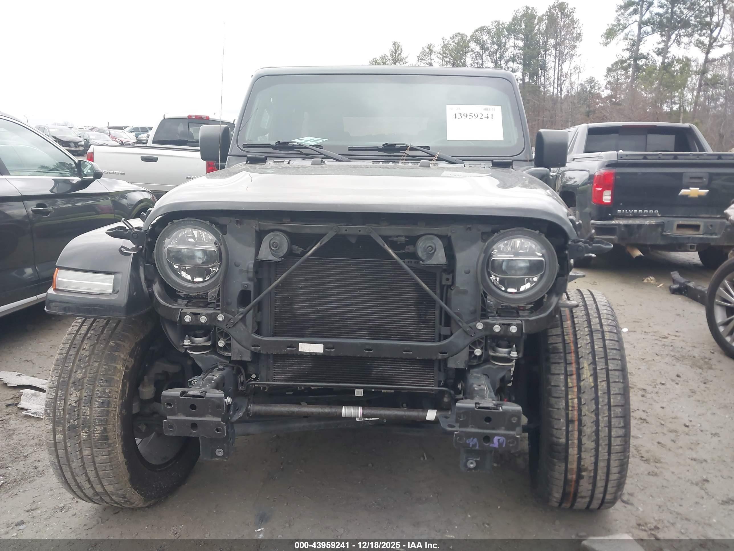 JEEP WRANGLER image 6