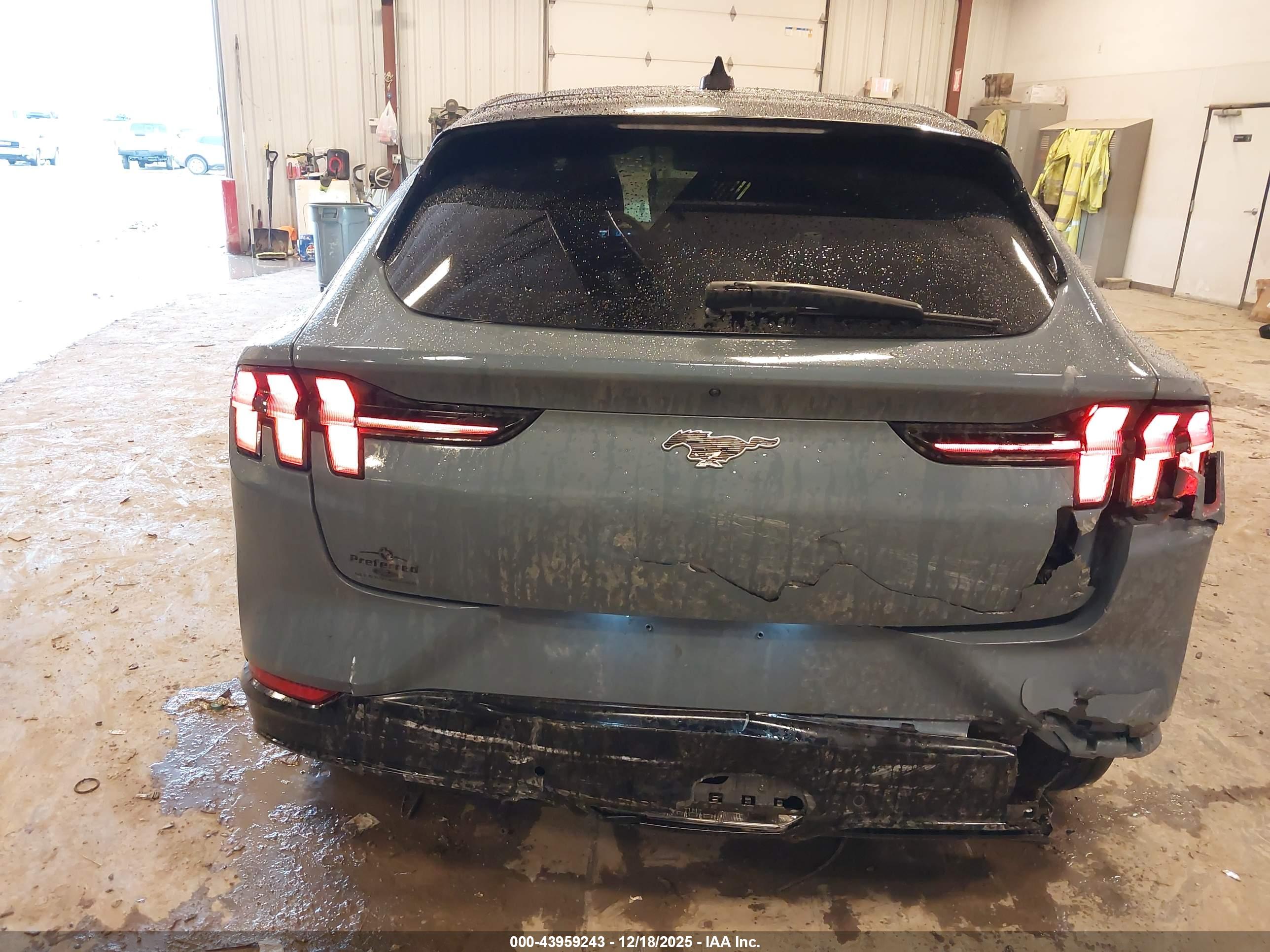 FORD MUSTANG image 6