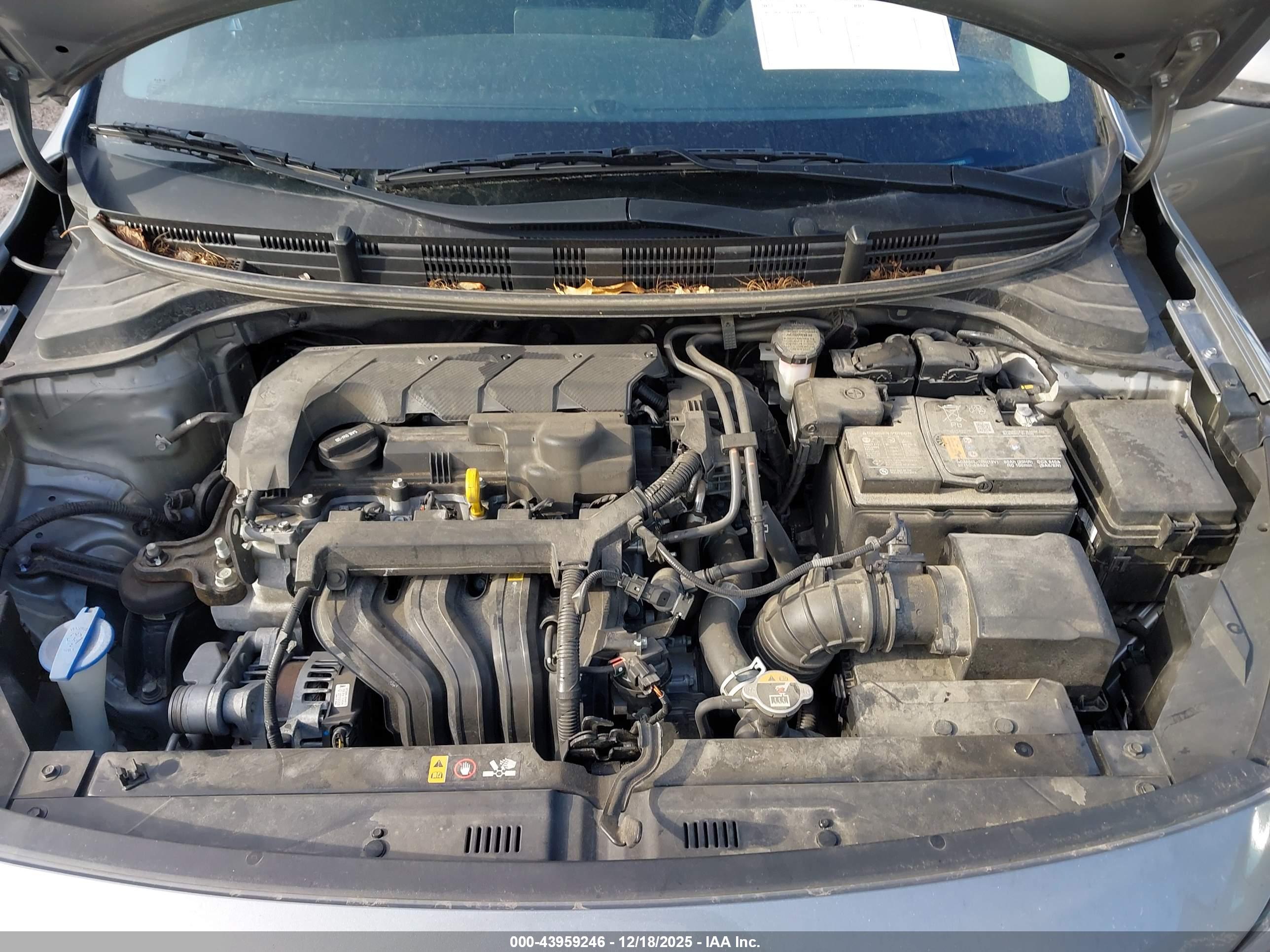 KIA RIO image 10