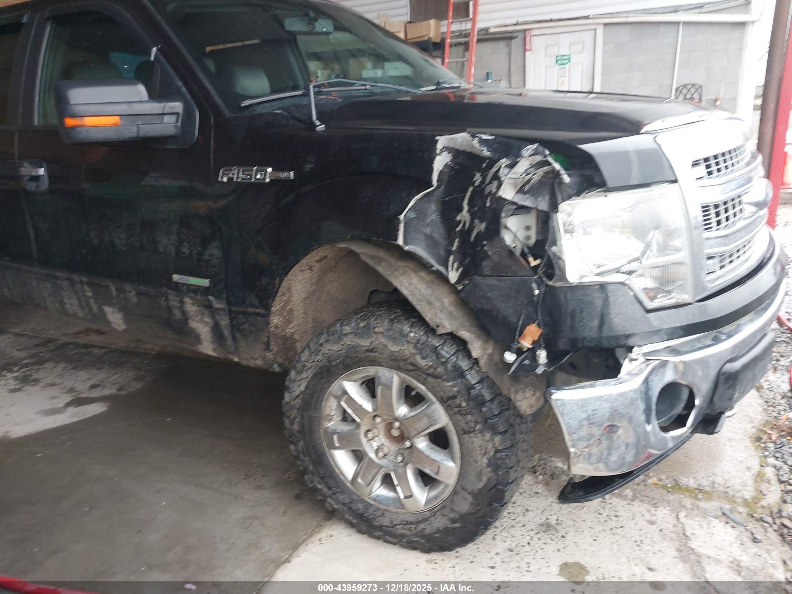 FORD F-150 image 6