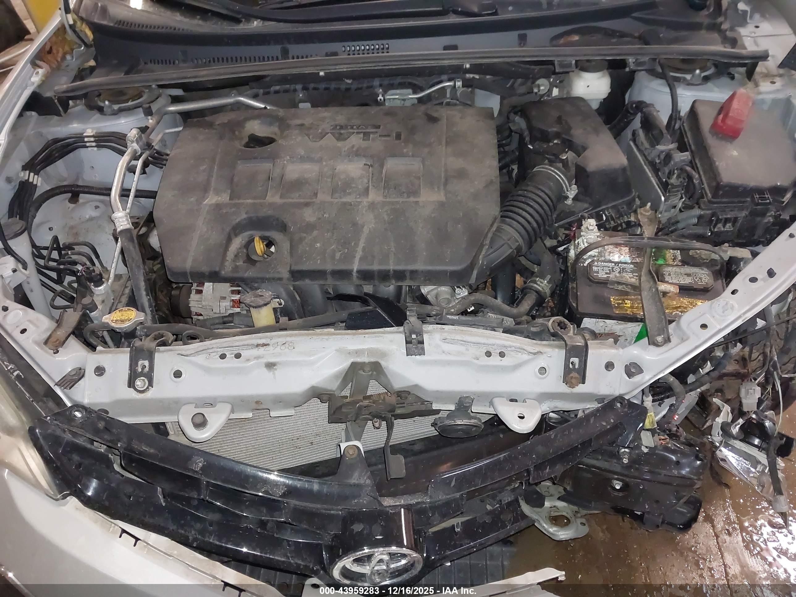 TOYOTA COROLLA image 10