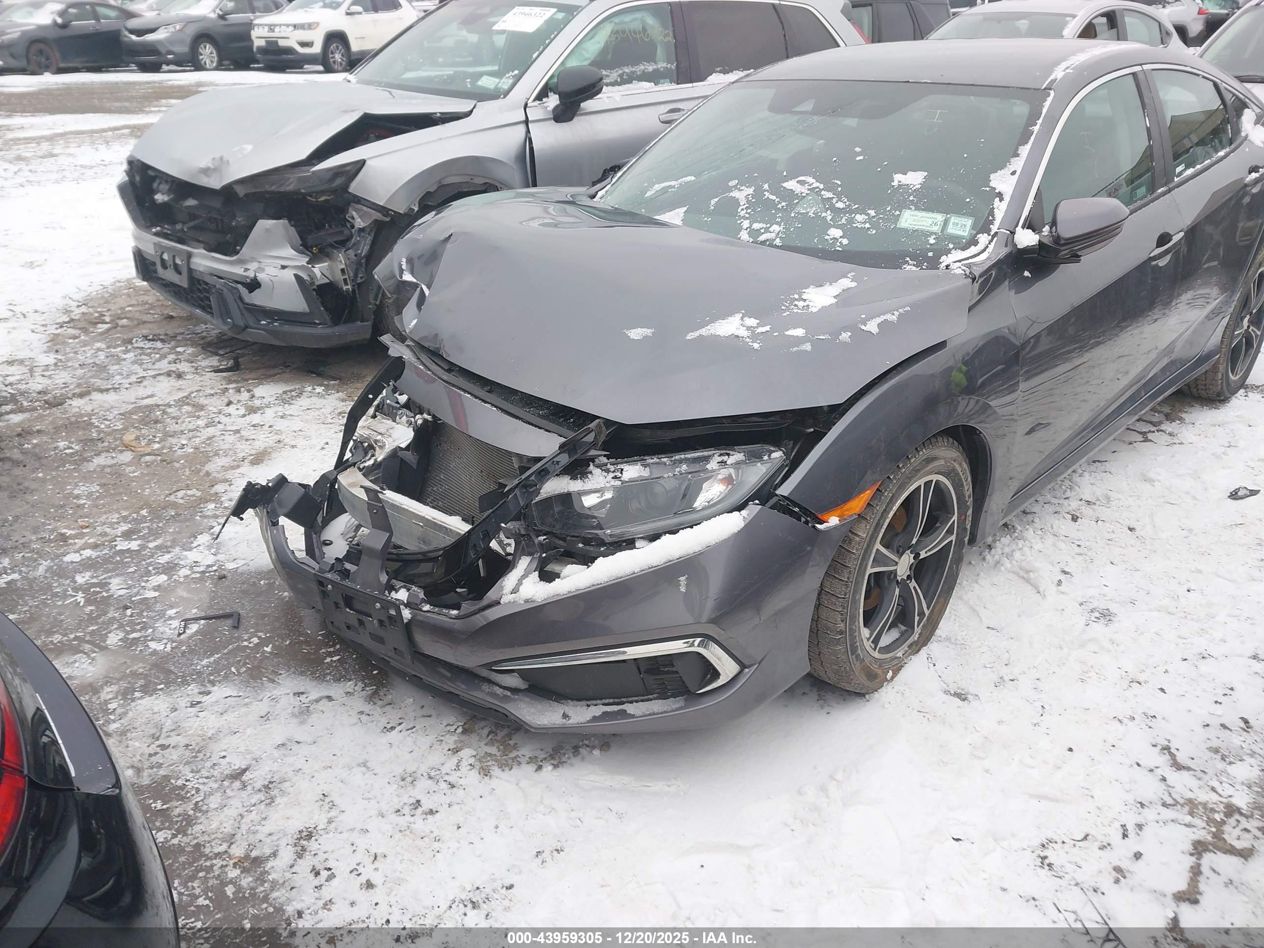 HONDA CIVIC image 6