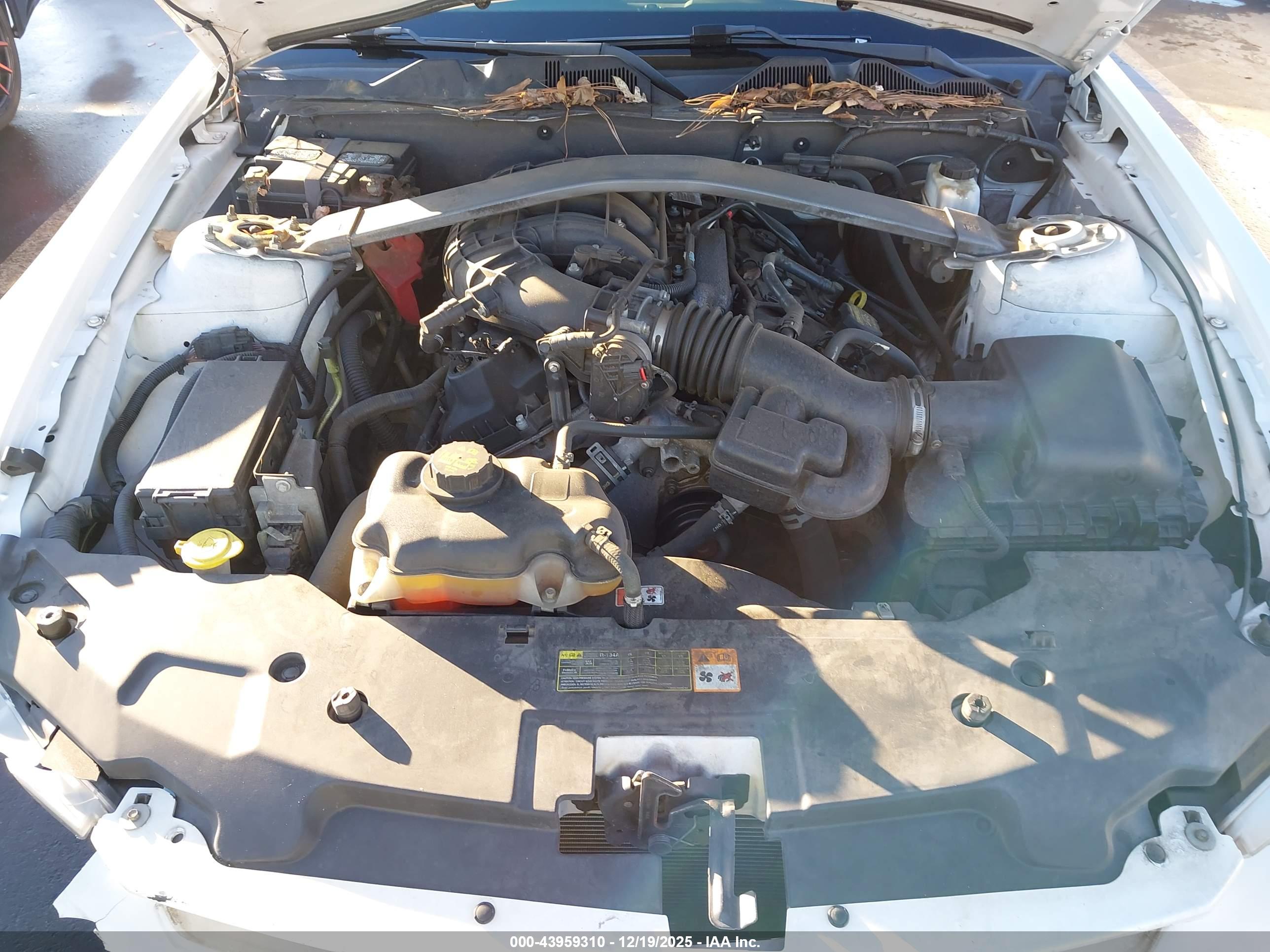 FORD MUSTANG image 10