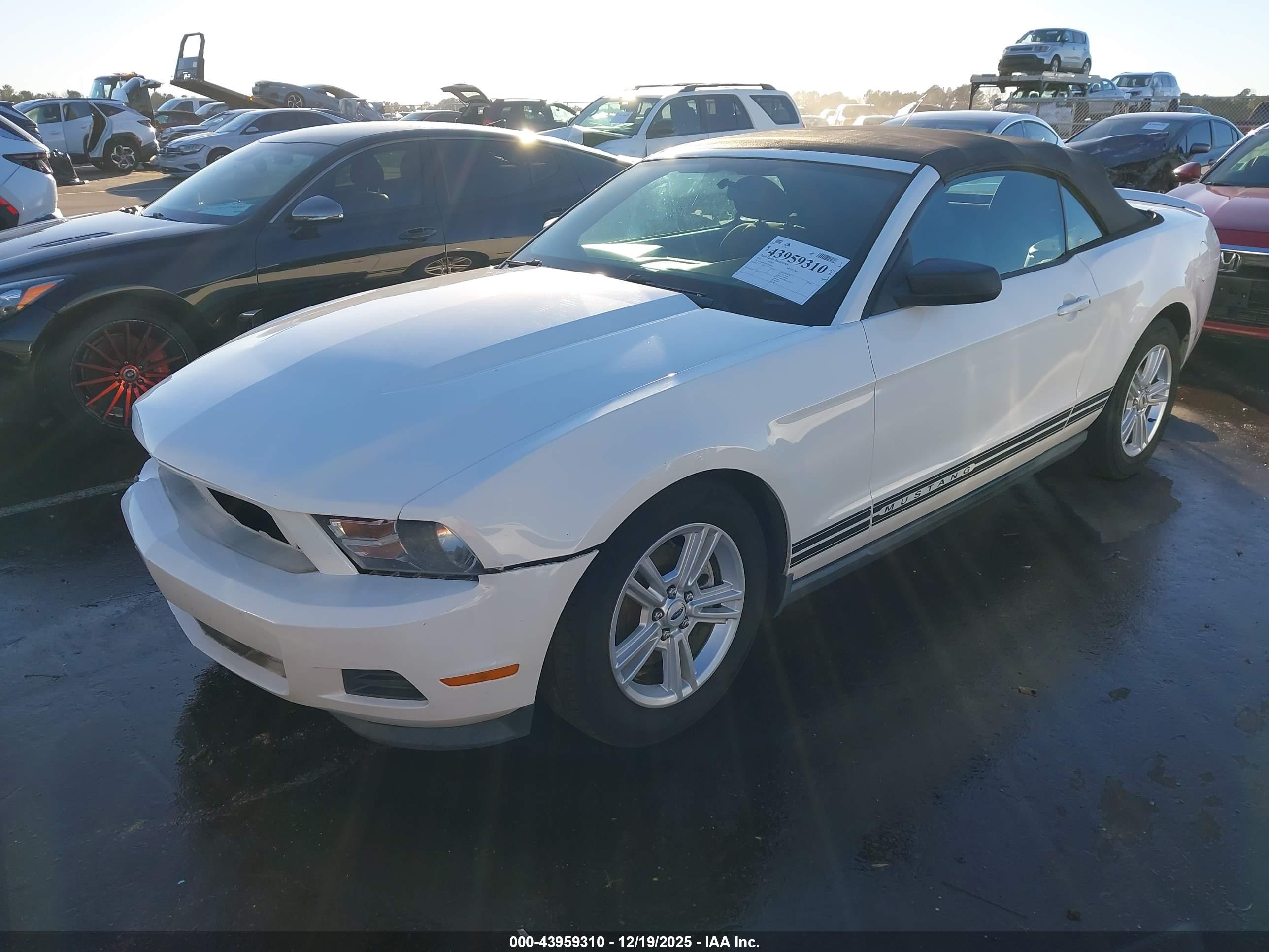 FORD MUSTANG image 2