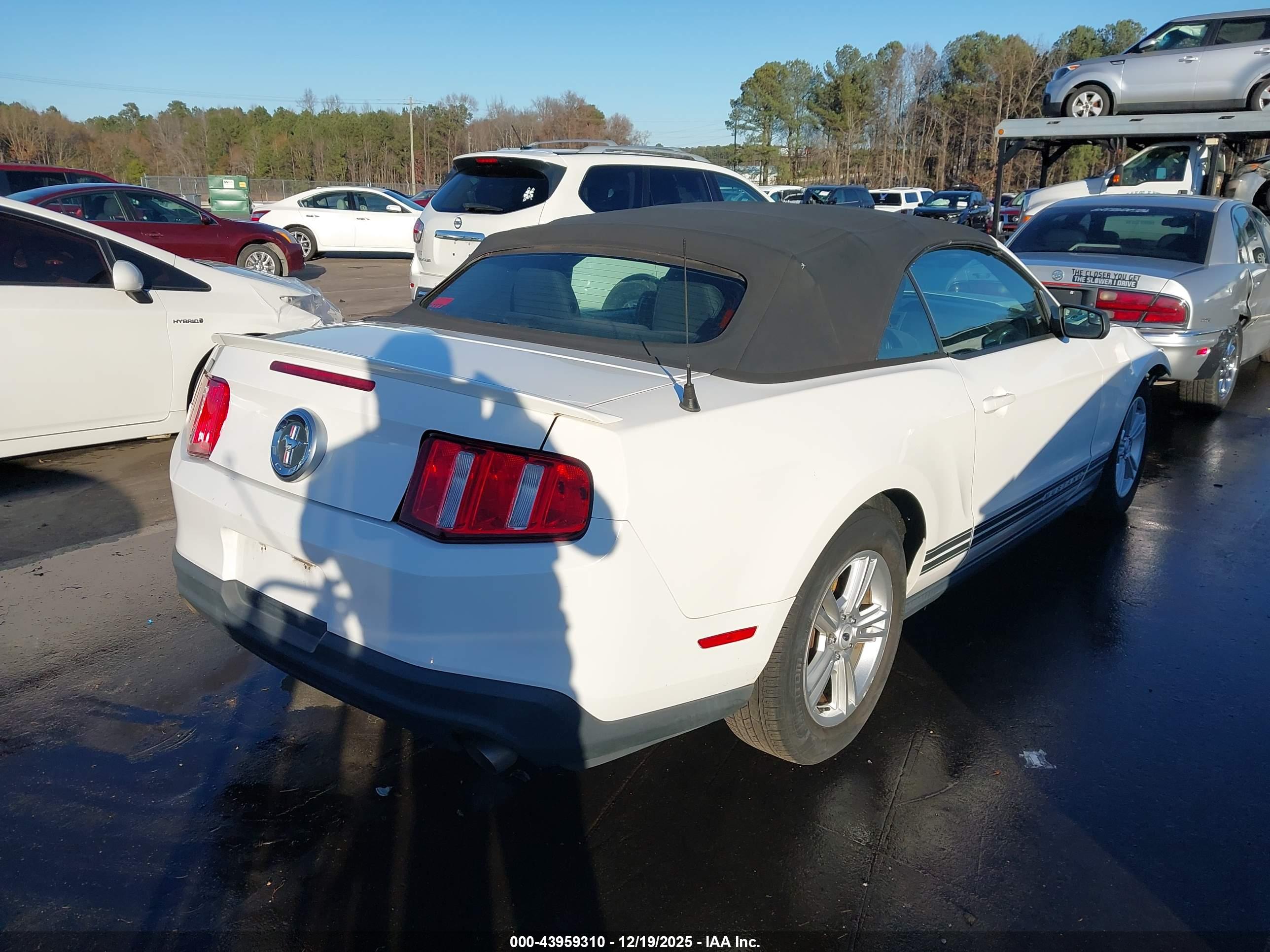 FORD MUSTANG image 4