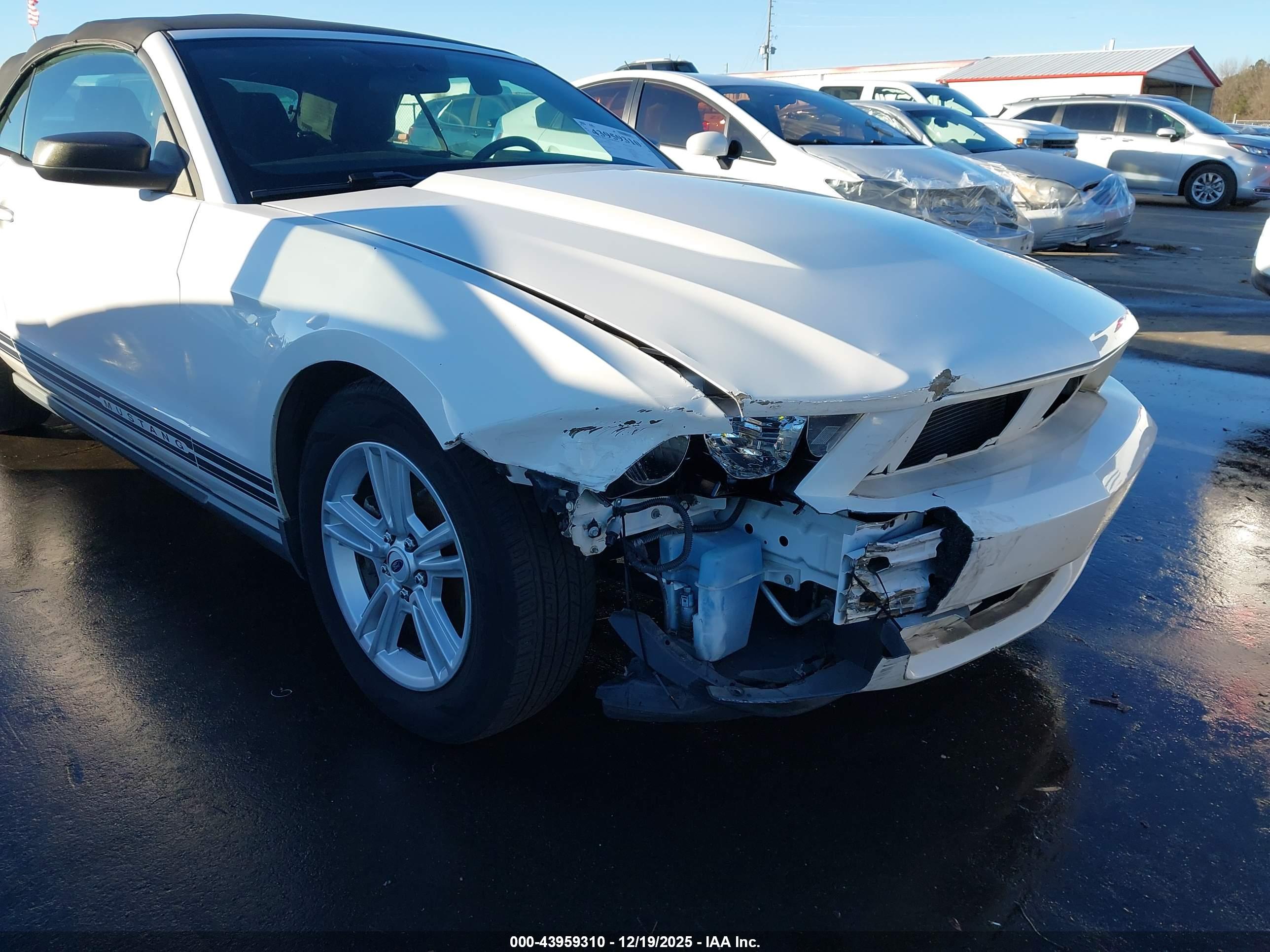 FORD MUSTANG image 6