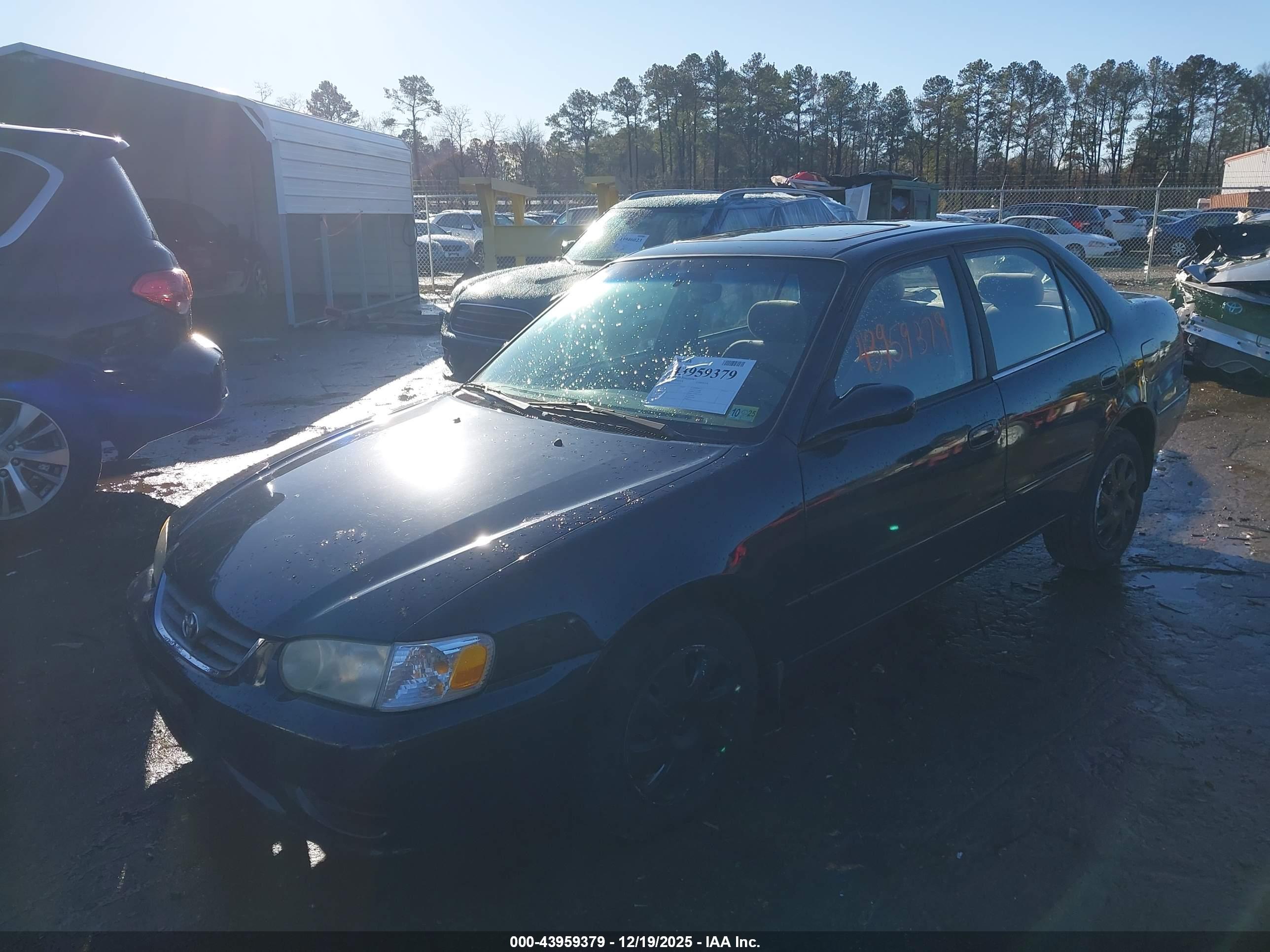 TOYOTA COROLLA image 2