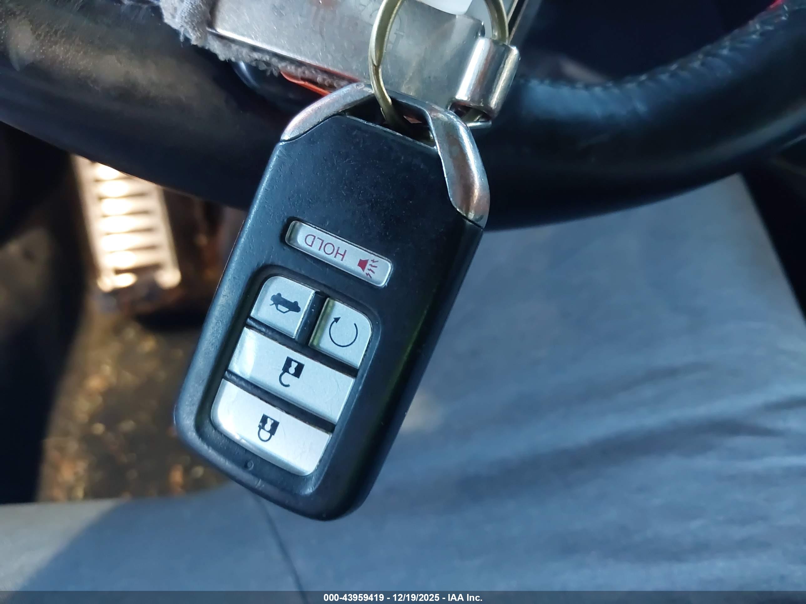 HONDA ACCORD image 11
