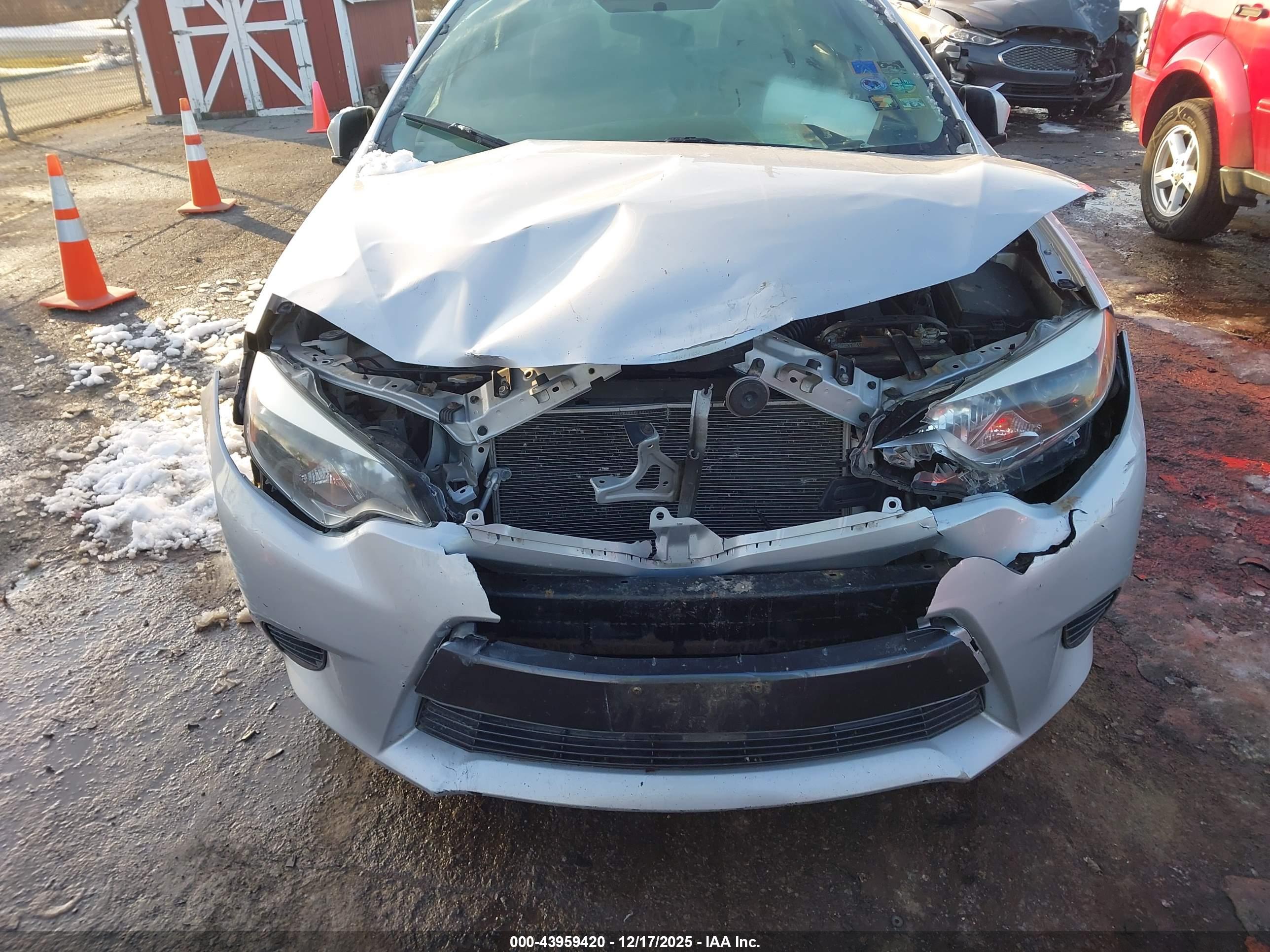 TOYOTA COROLLA image 6