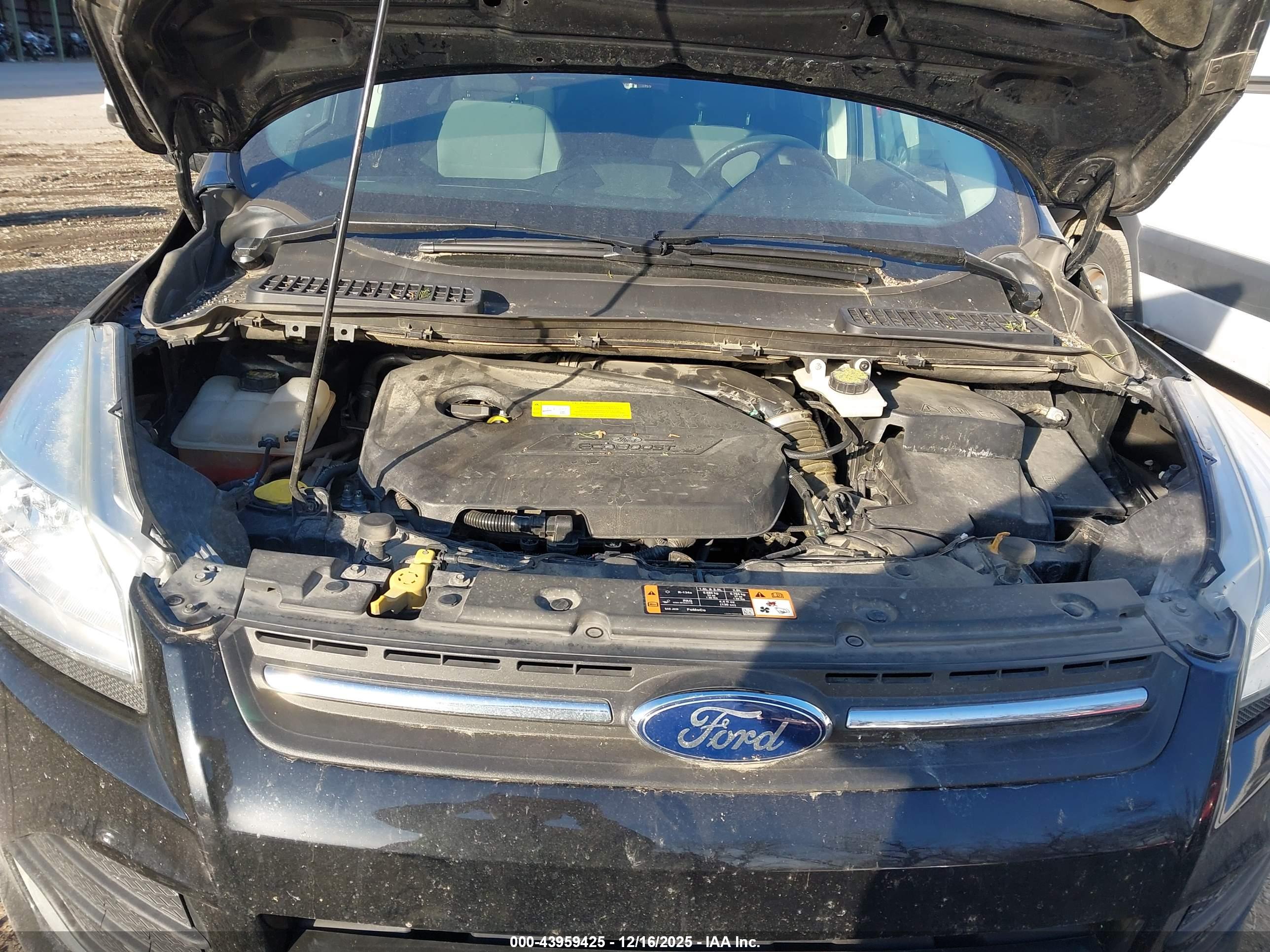 FORD ESCAPE image 10
