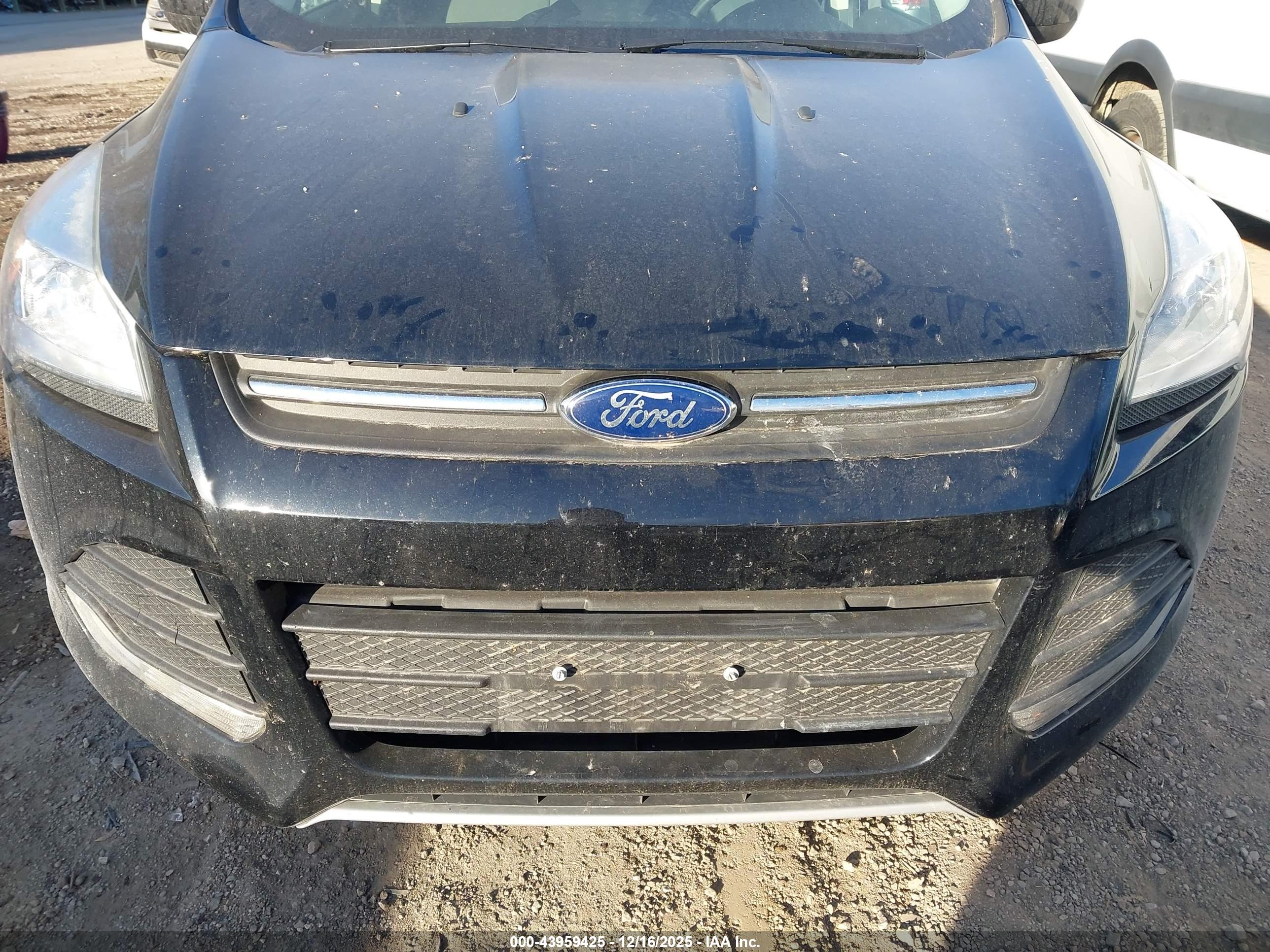 FORD ESCAPE image 6