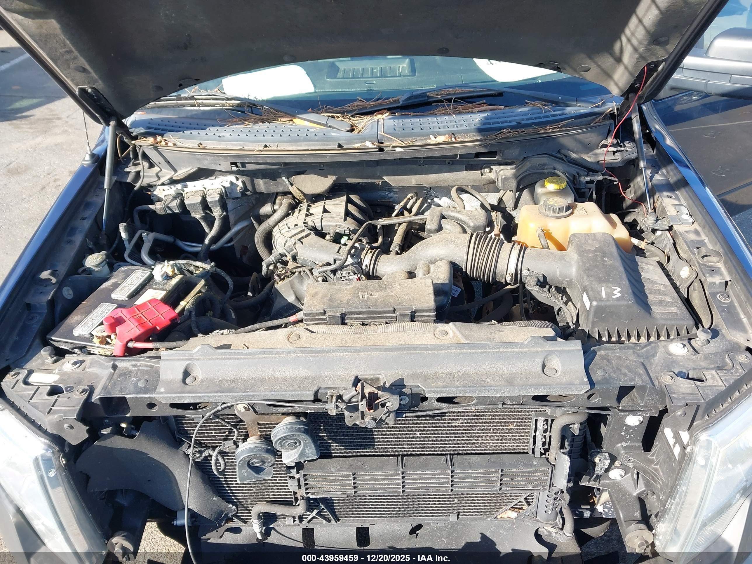 FORD F-150 image 10