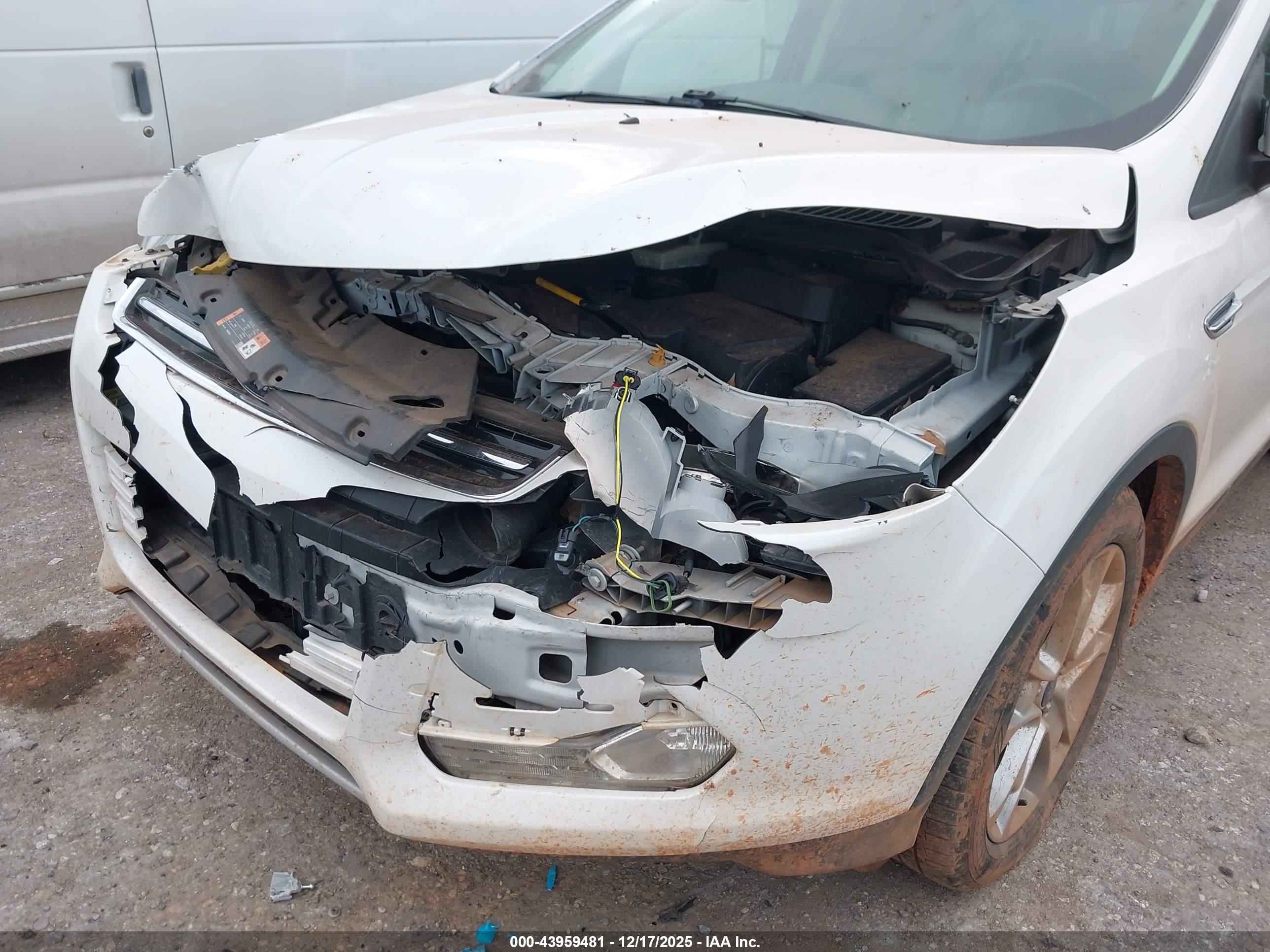 FORD ESCAPE image 6