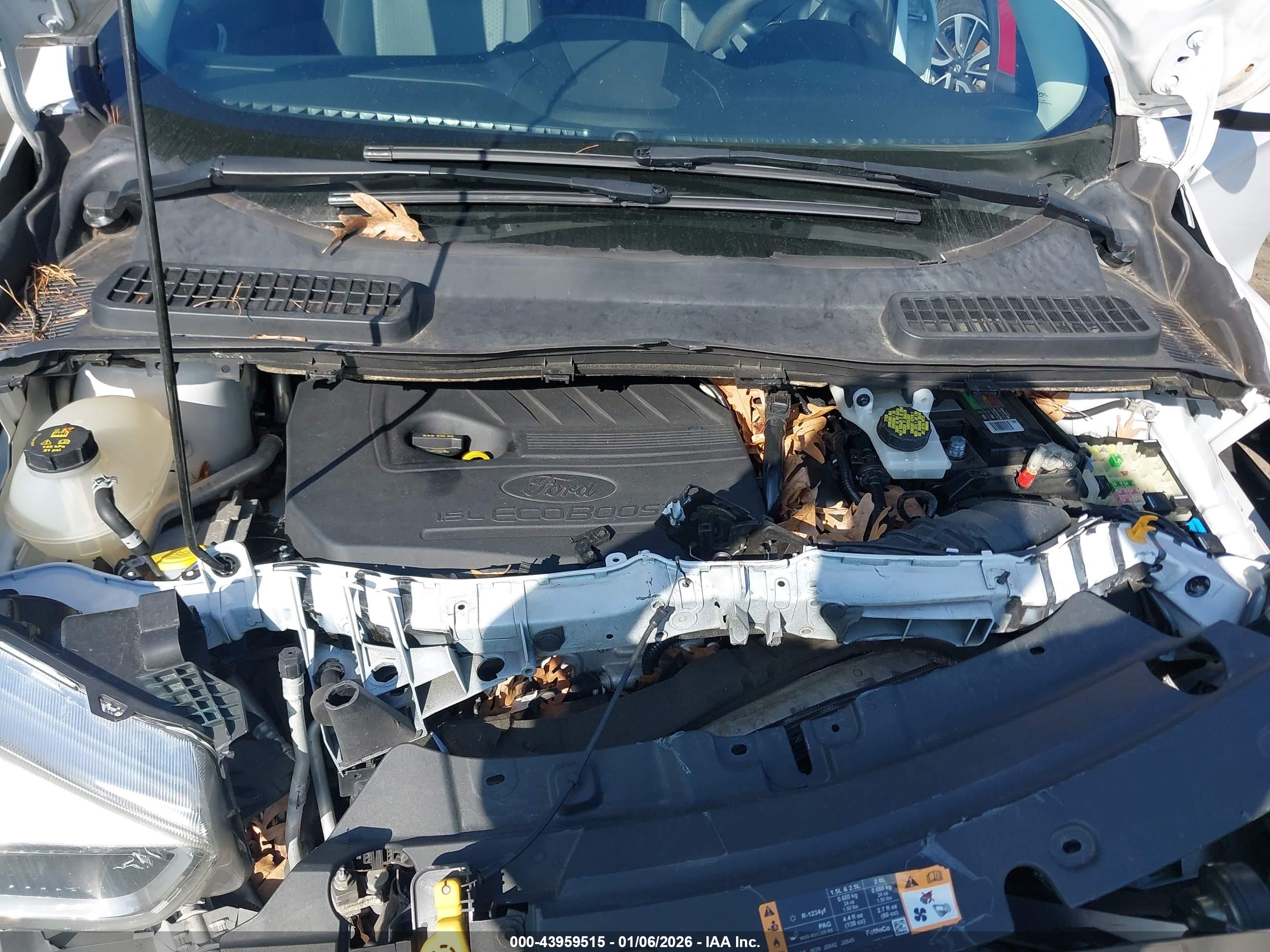 FORD ESCAPE image 10