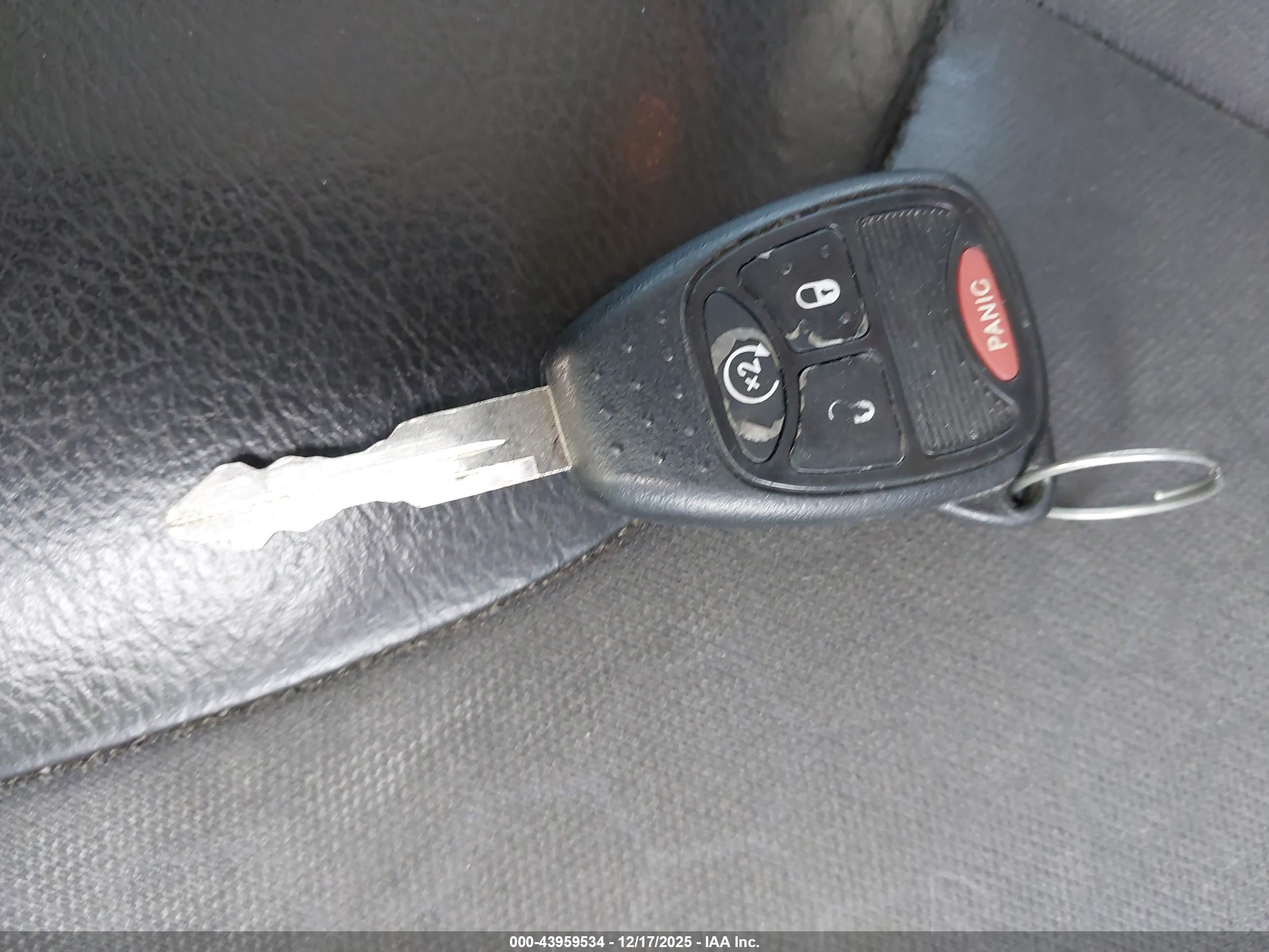 JEEP WRANGLER image 11