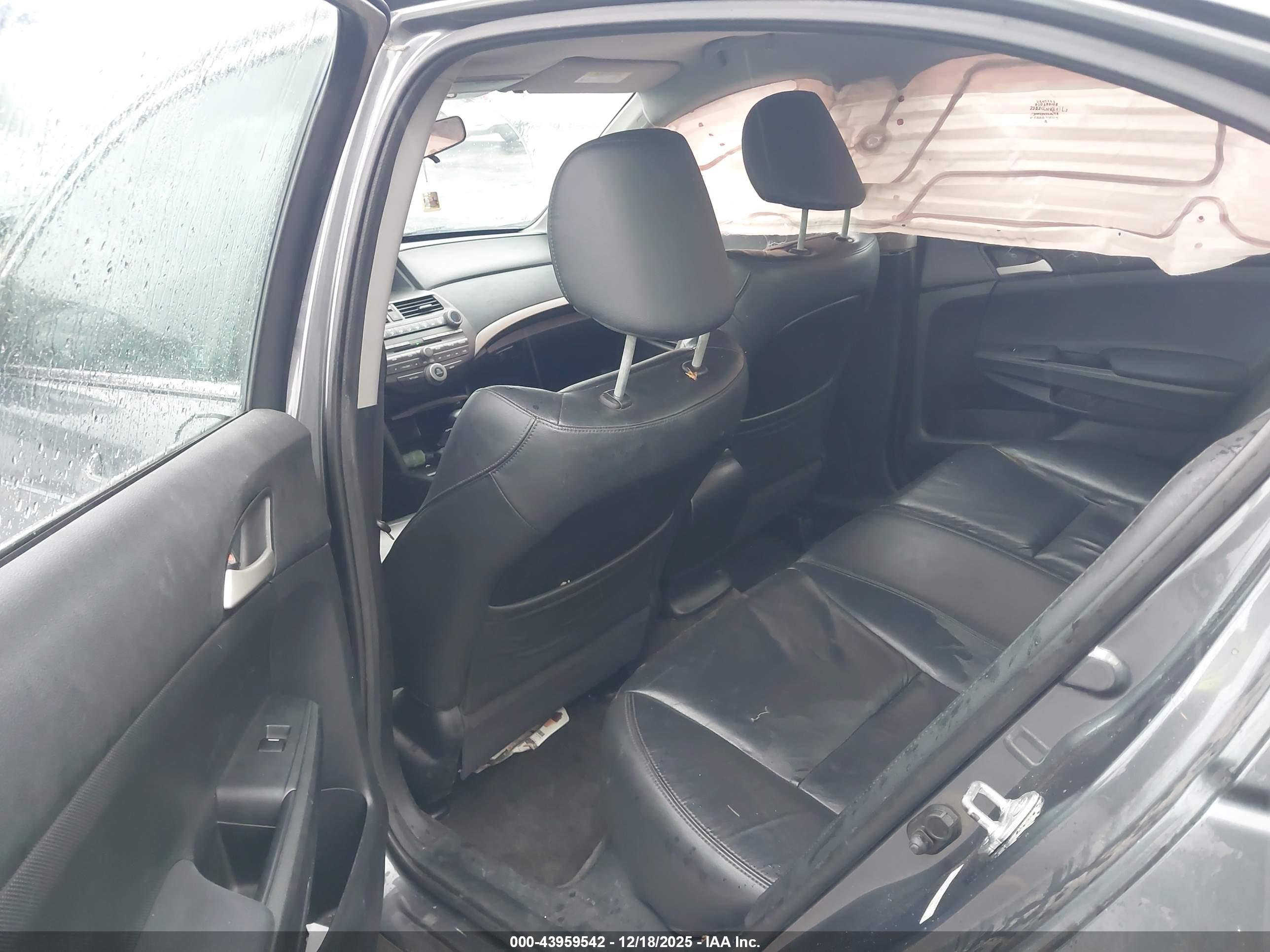 HONDA ACCORD image 8