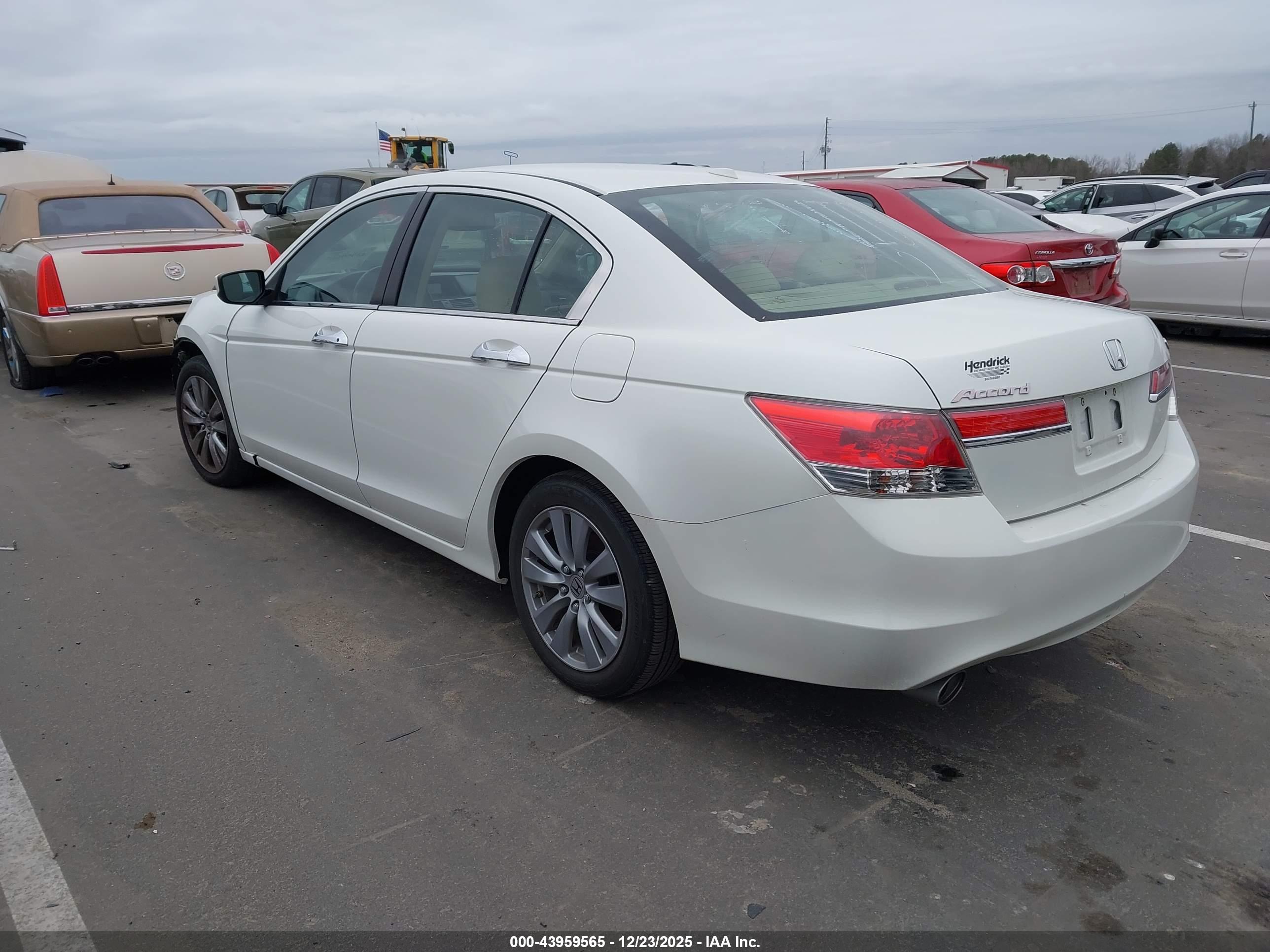 HONDA ACCORD image 3