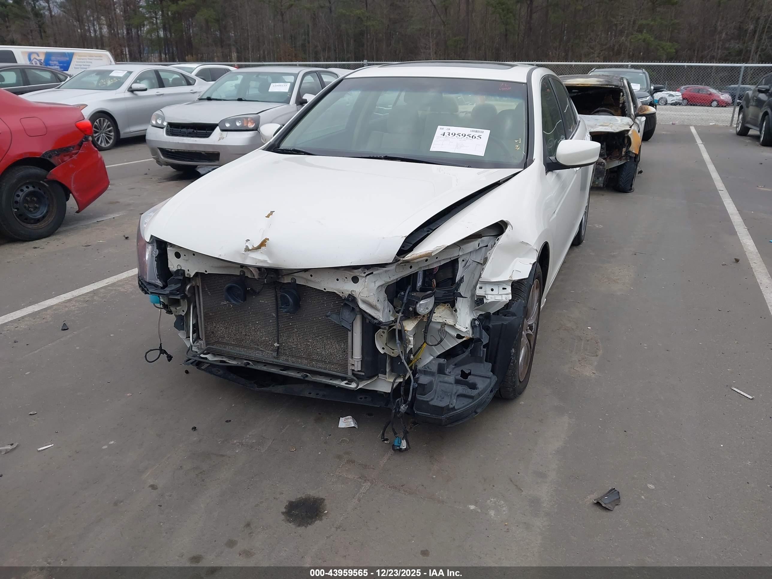 HONDA ACCORD image 6