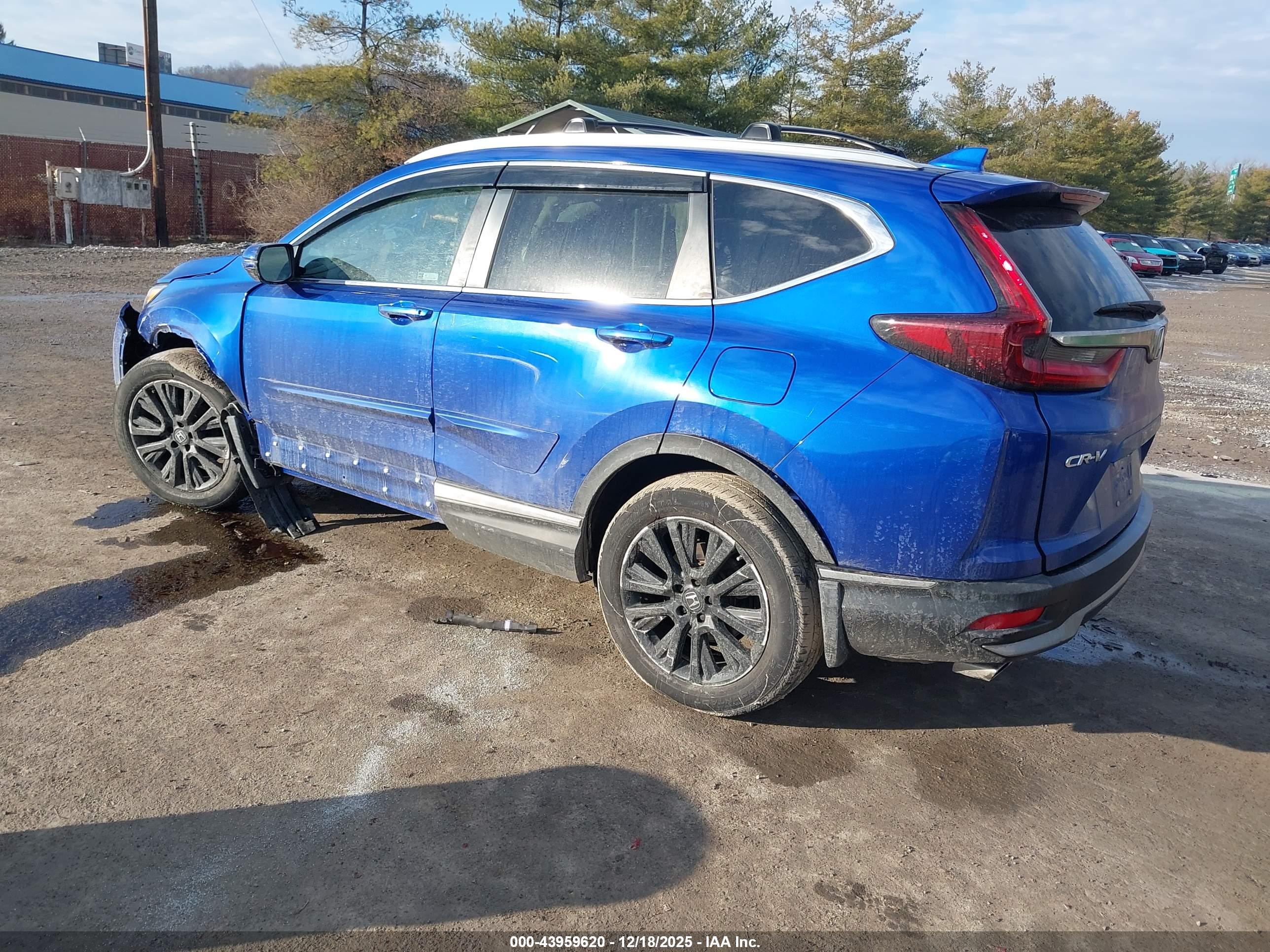 HONDA CR-V image 3