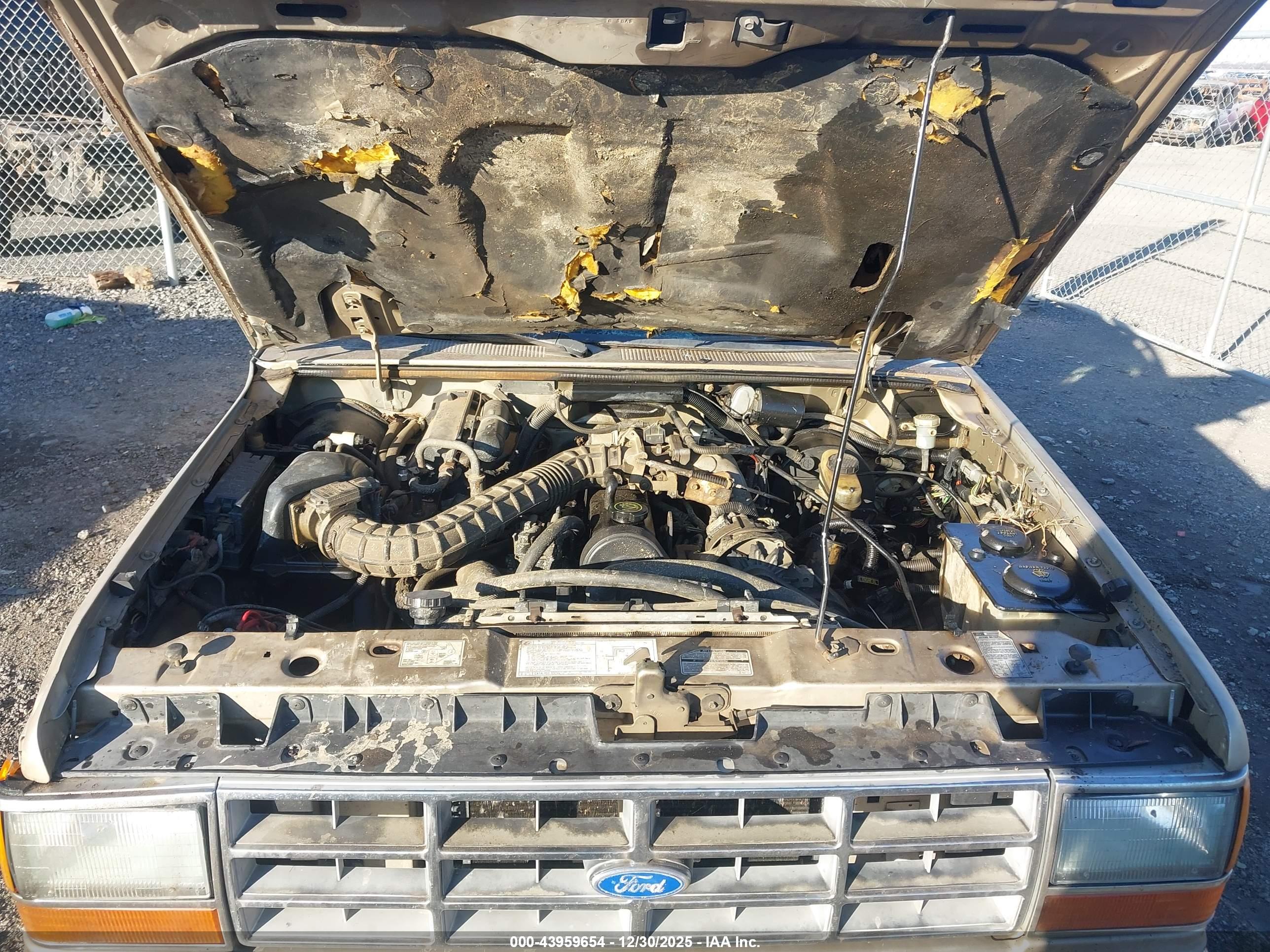 FORD RANGER image 10