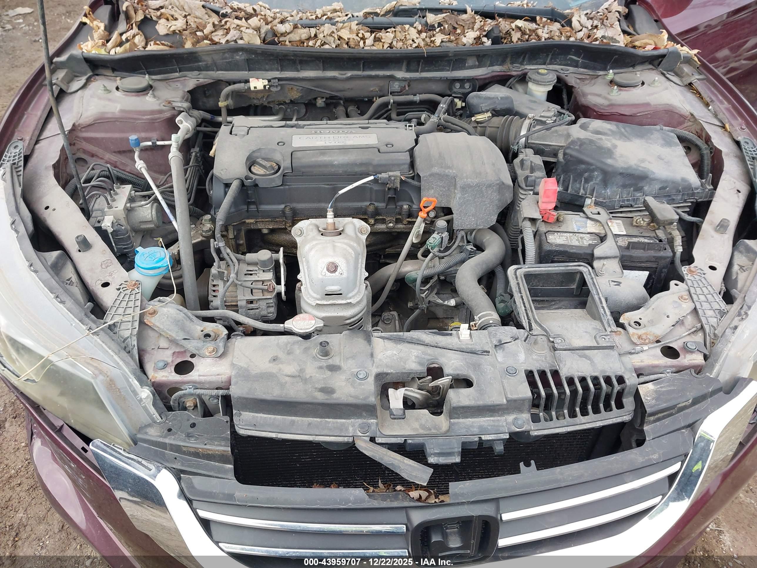 HONDA ACCORD image 10