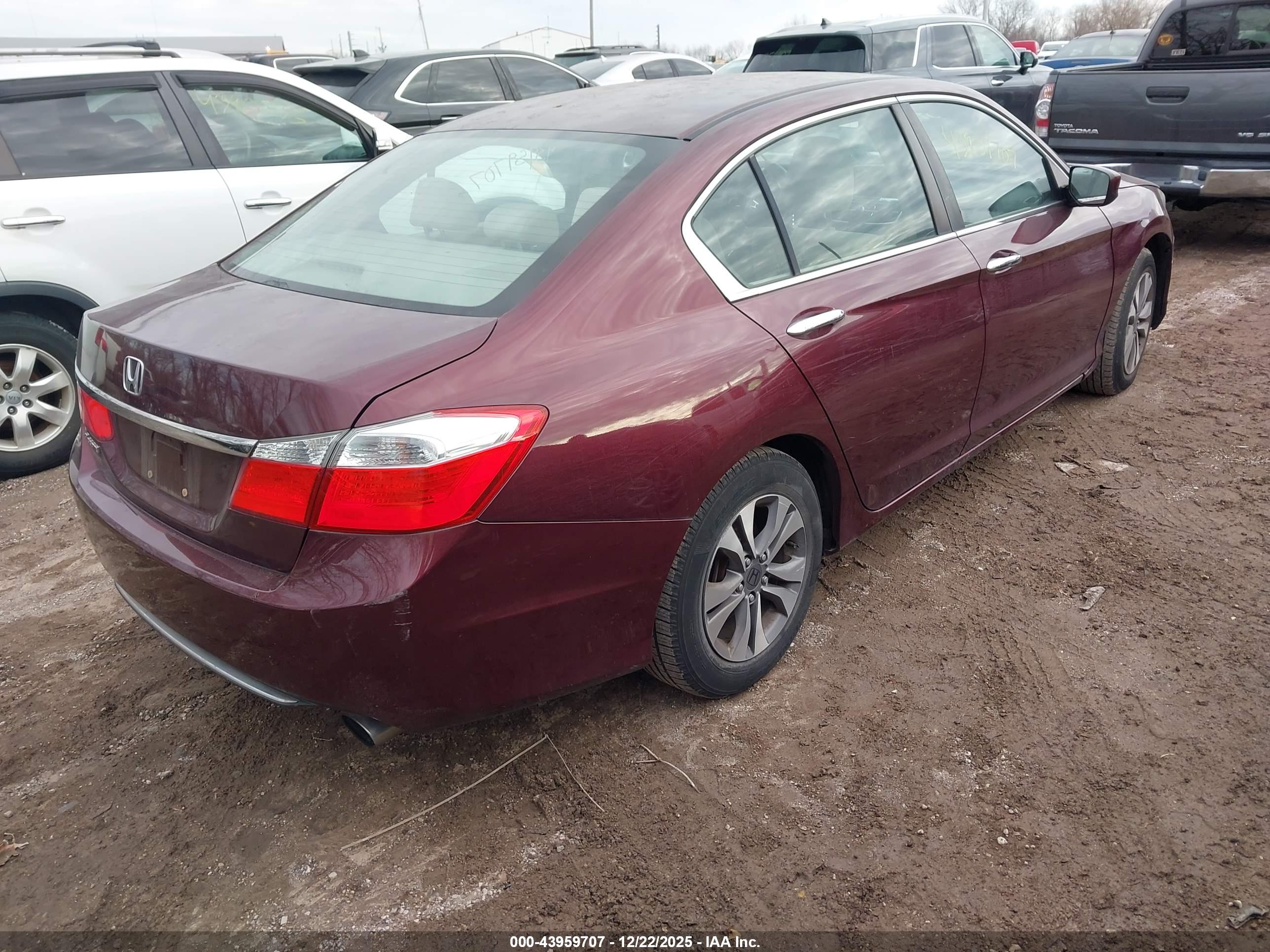 HONDA ACCORD image 4