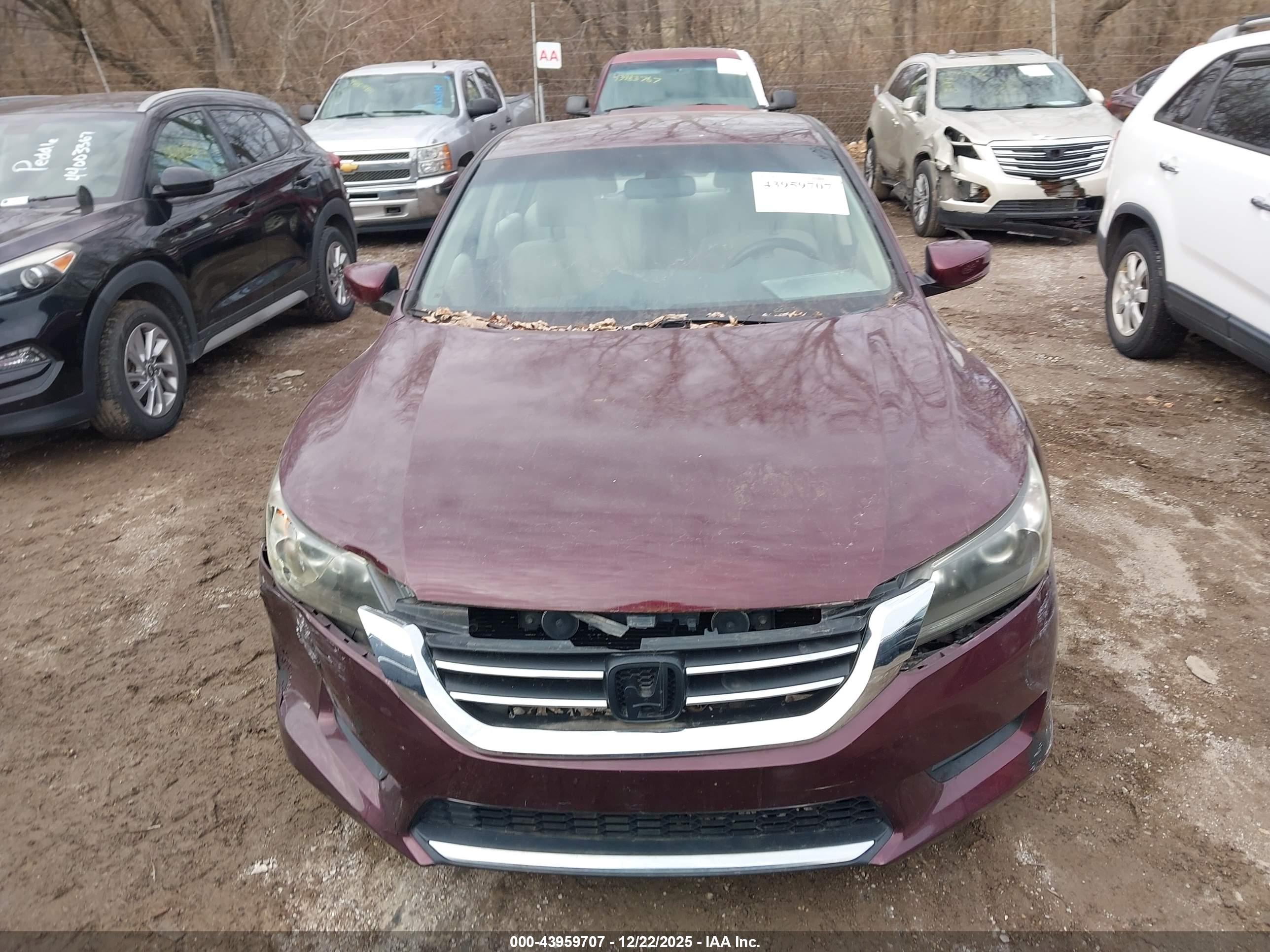 HONDA ACCORD image 6