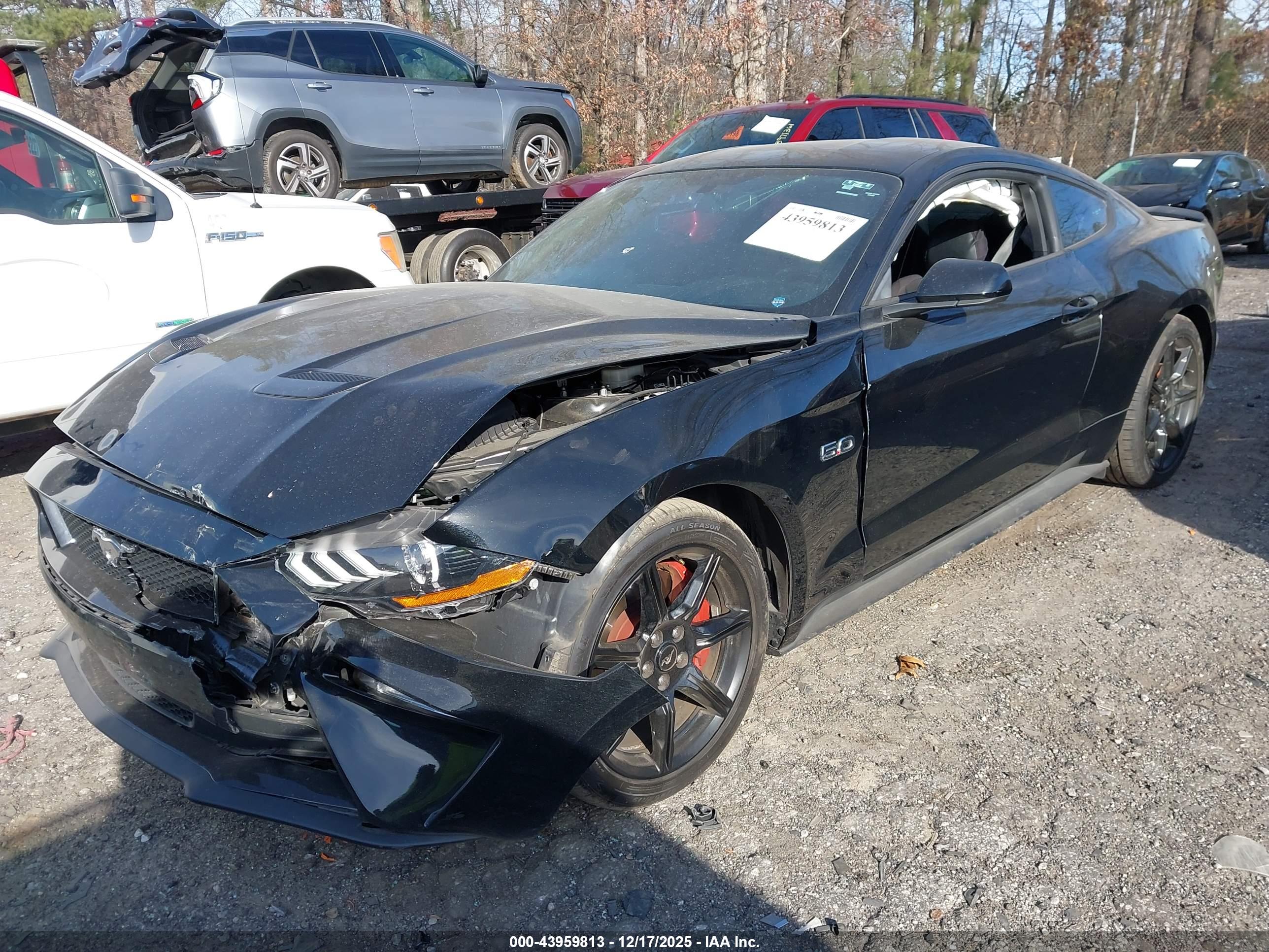 FORD MUSTANG image 2