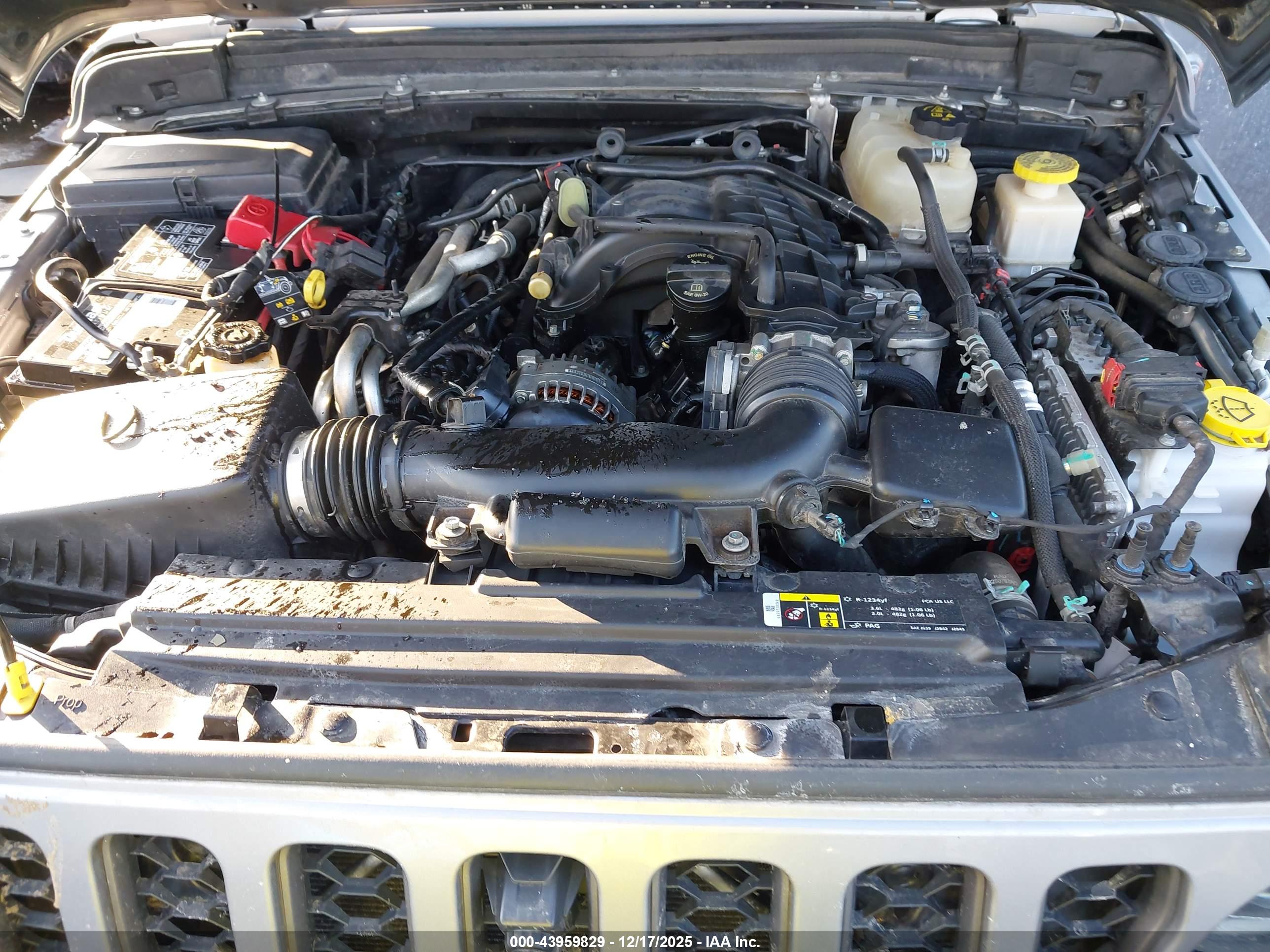 JEEP GLADIATOR image 10