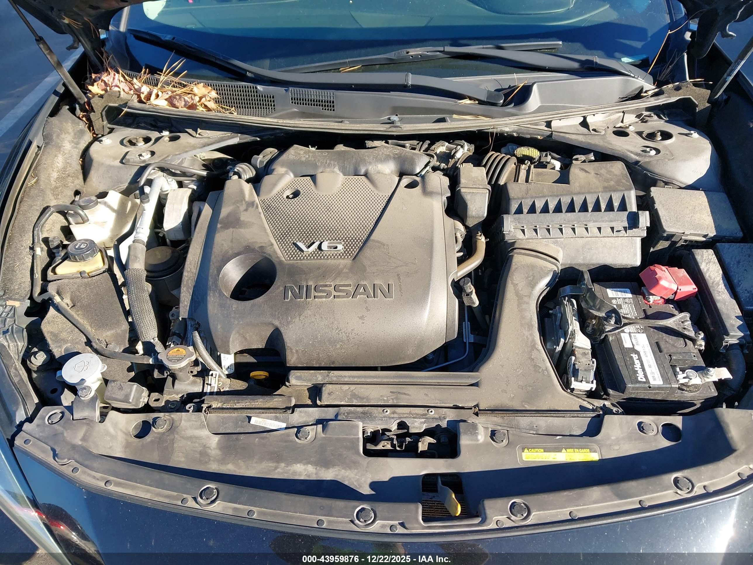 NISSAN MAXIMA image 10