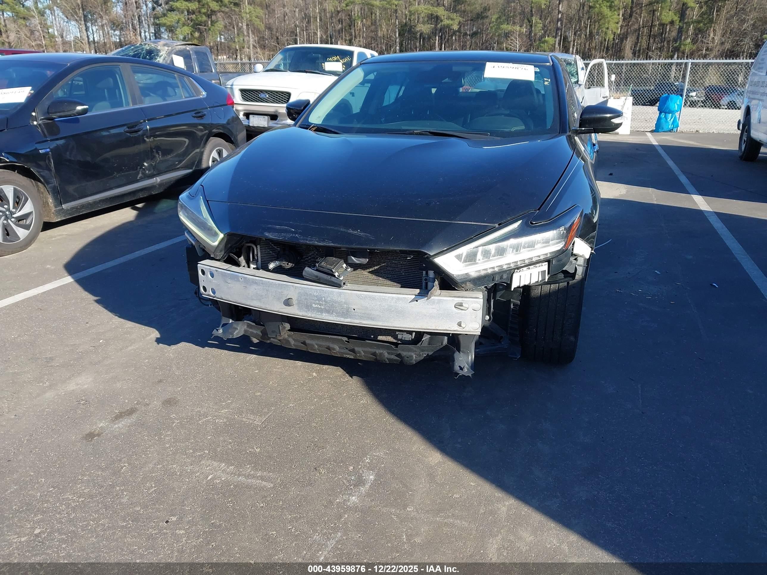 NISSAN MAXIMA image 6