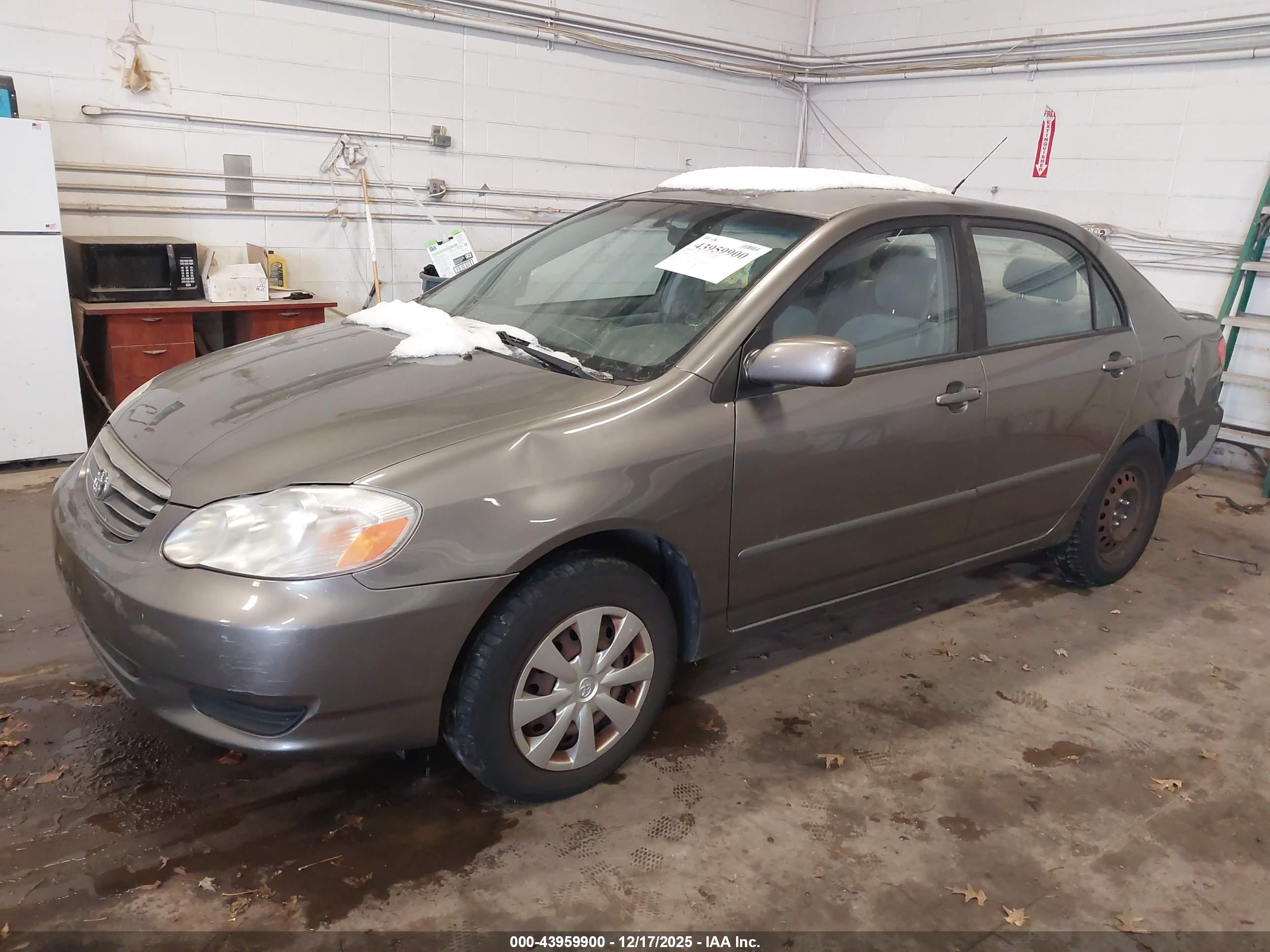 TOYOTA COROLLA image 2