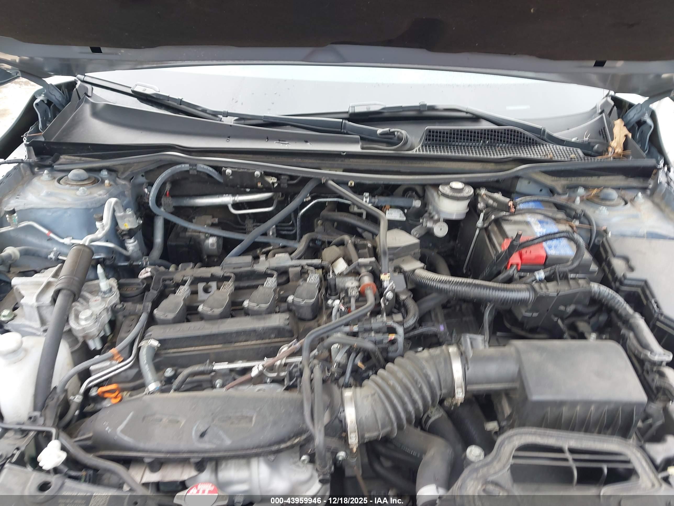 HONDA CIVIC image 10