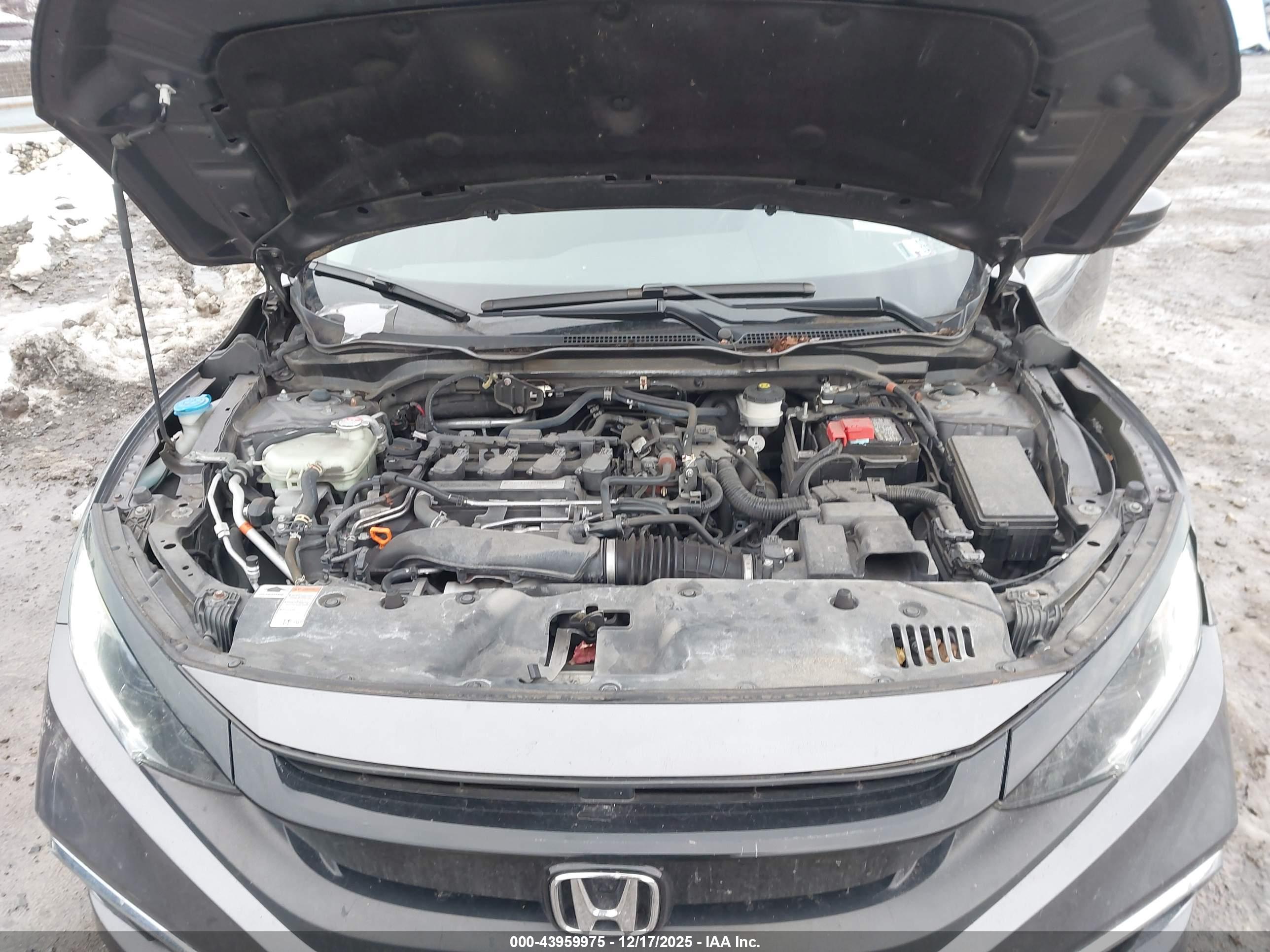 HONDA CIVIC image 10