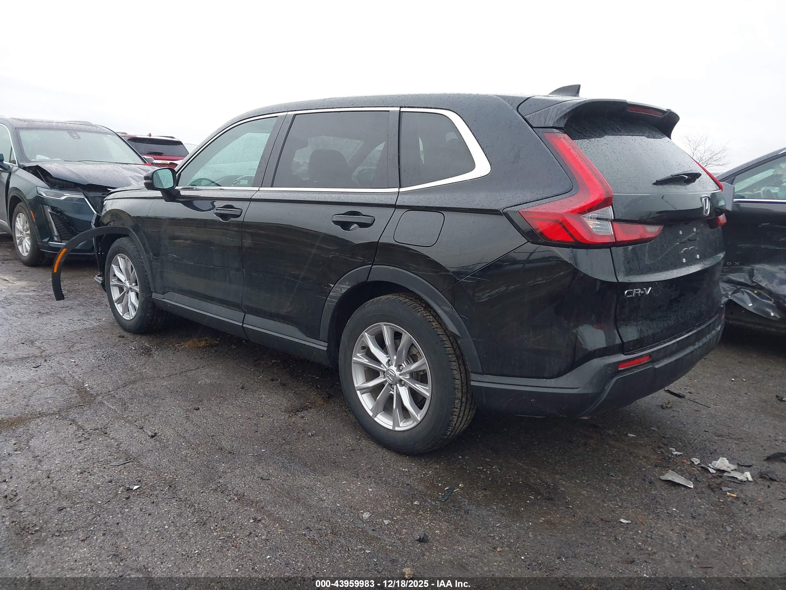 HONDA CR-V image 3