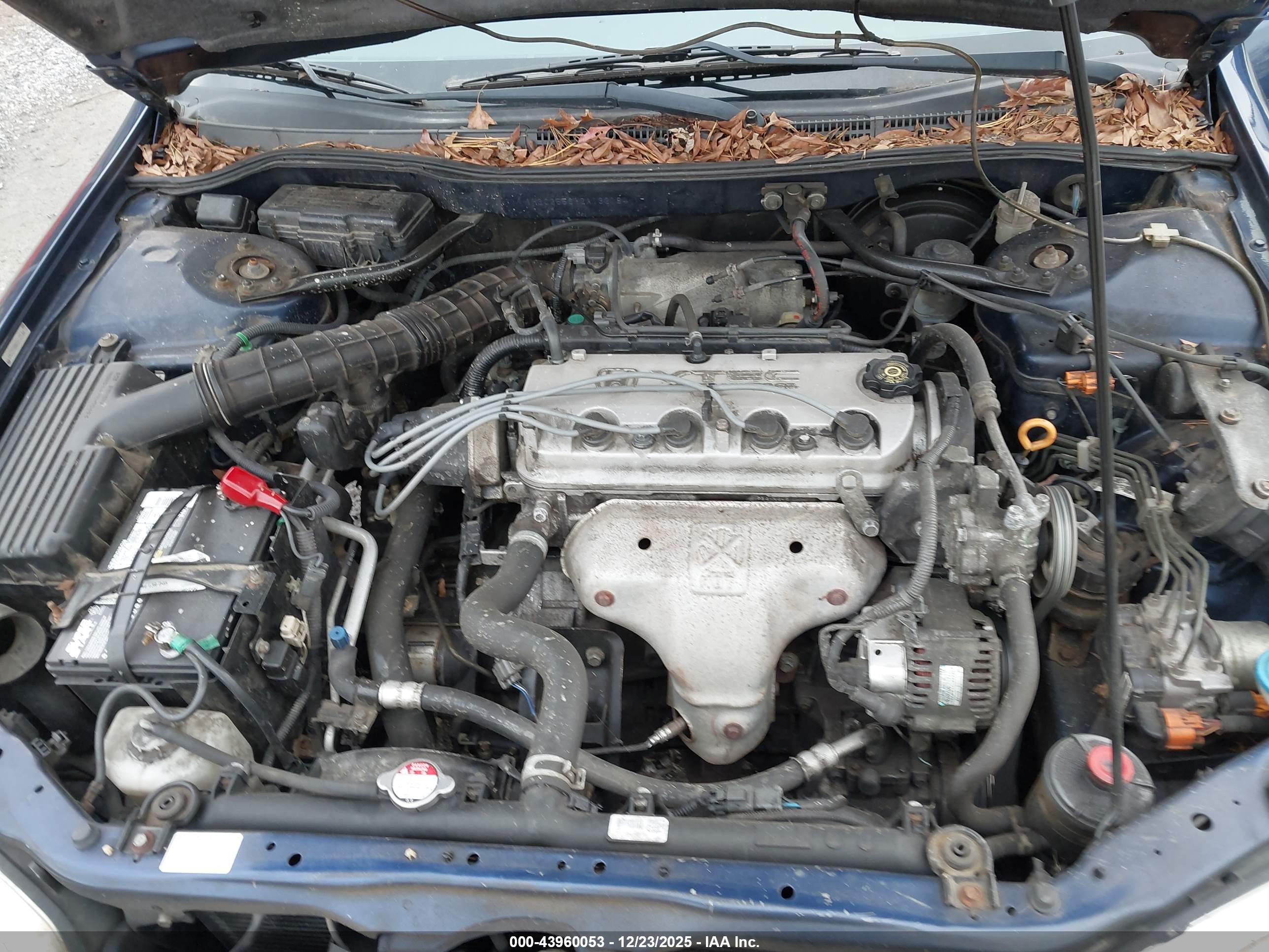 HONDA ACCORD image 10