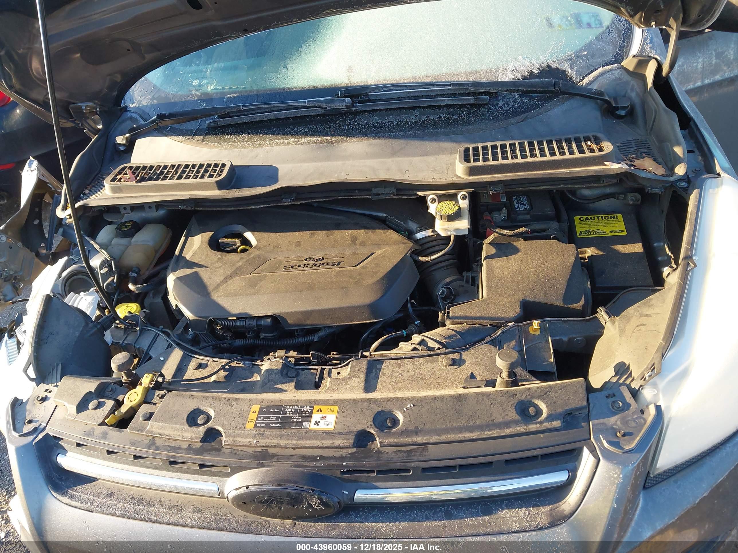 FORD ESCAPE image 10
