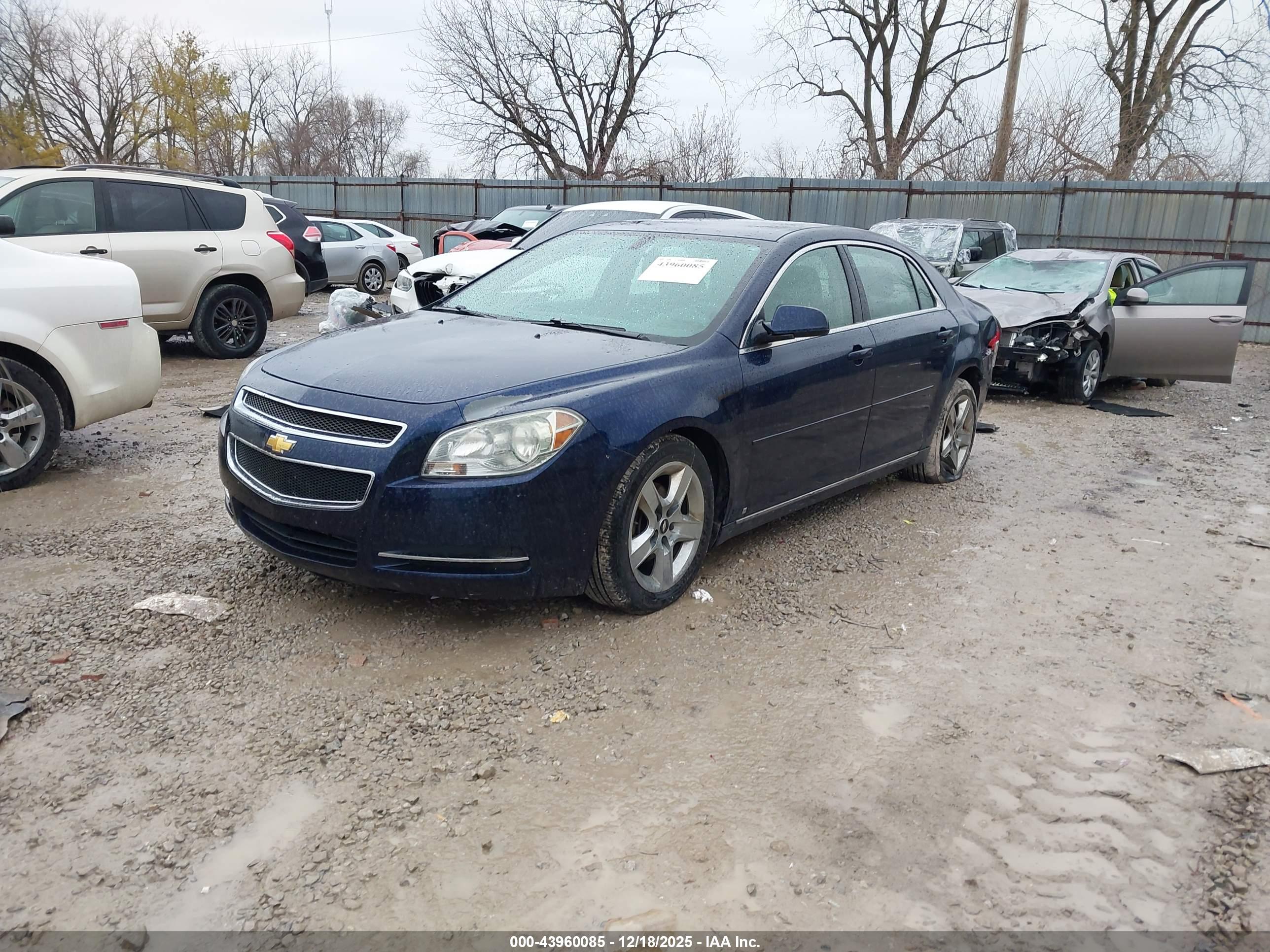 CHEVROLET MALIBU image 2