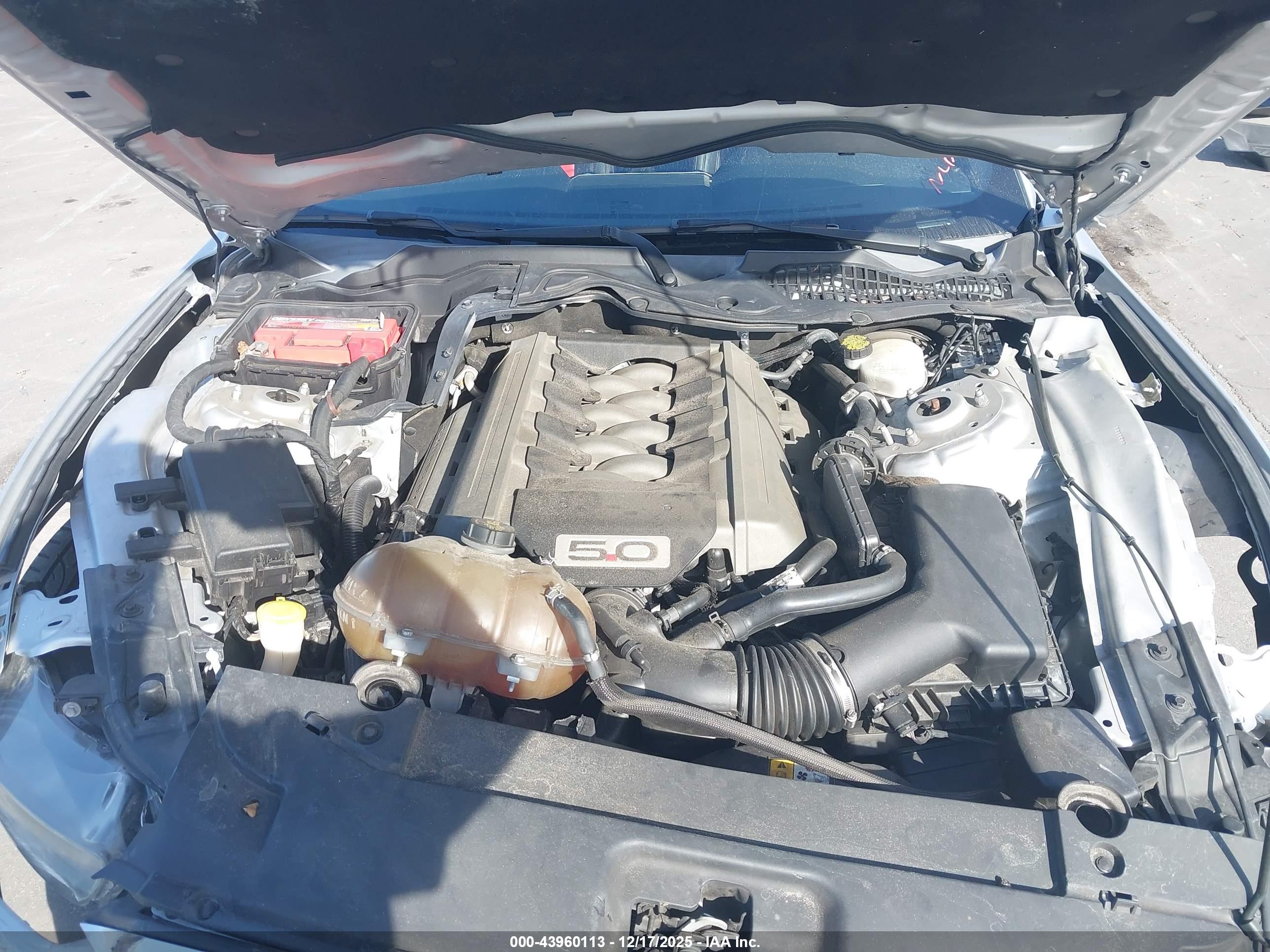 FORD MUSTANG image 10
