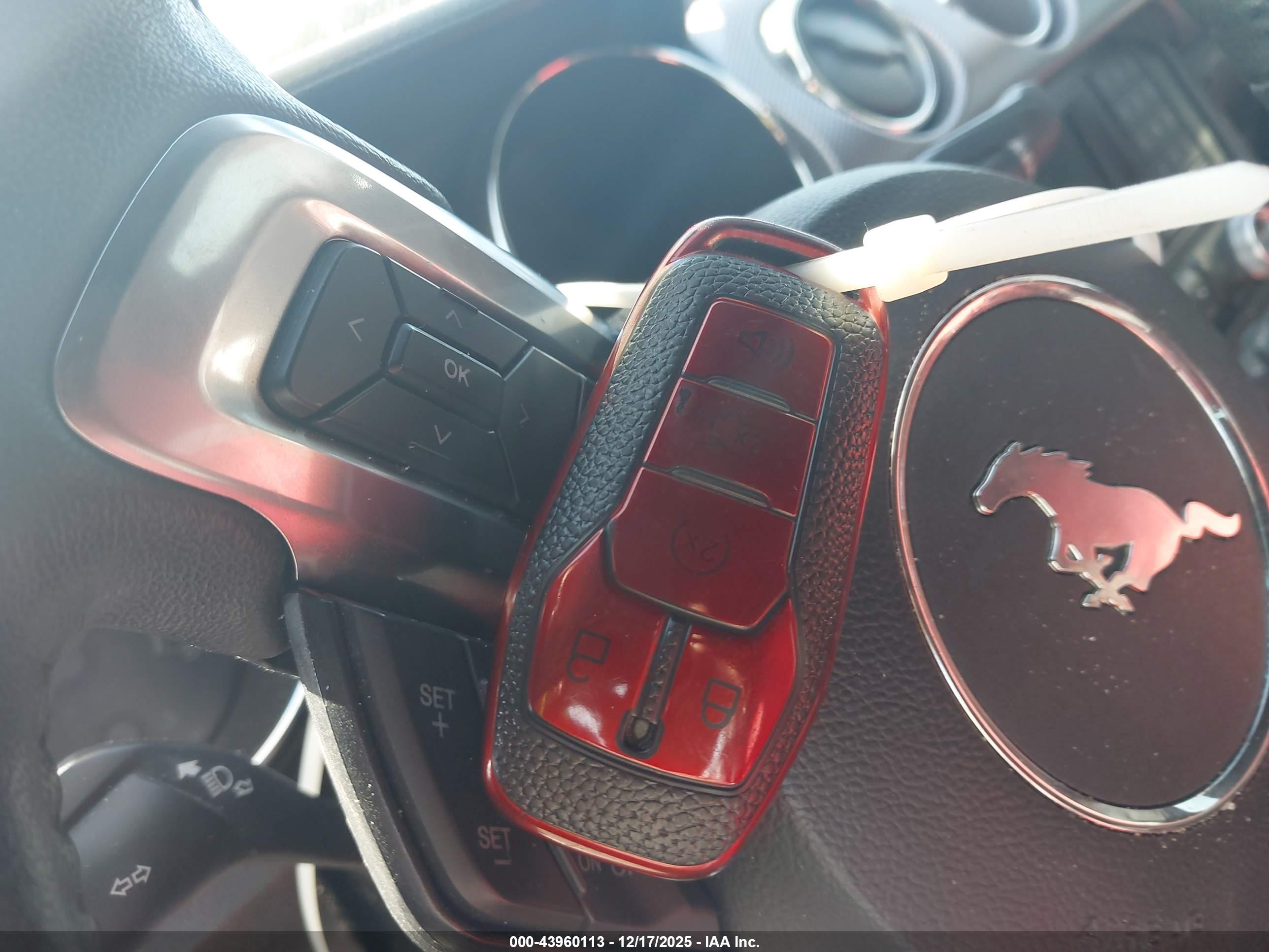 FORD MUSTANG image 11