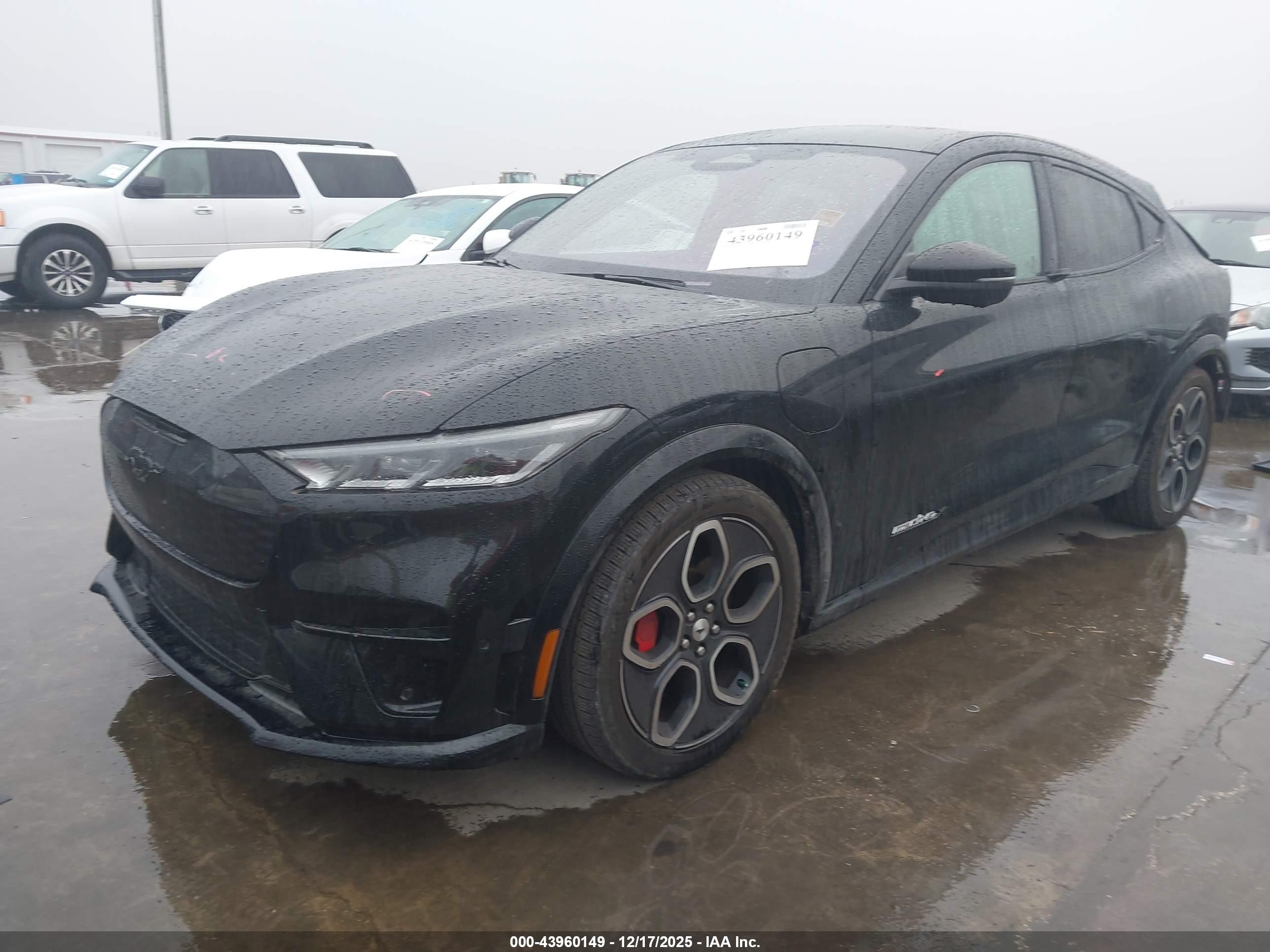 FORD MUSTANG image 2